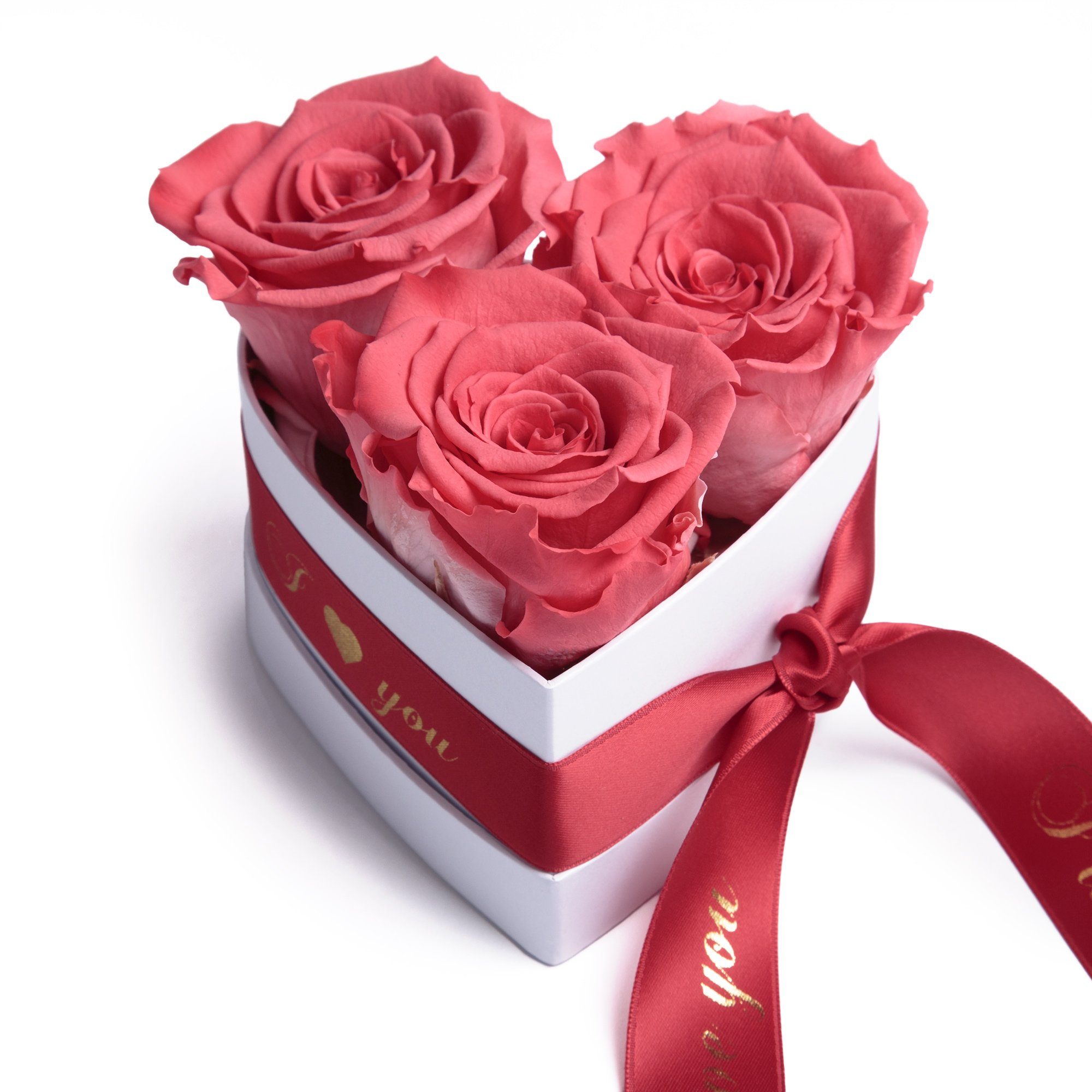Heidelberg, Rosenbox Geschenk Rosen für Valentinstag cm, Box Infinity 8.5 ROSEMARIE SCHULZ I Herz Love Kunstblume Höhe in konservierte Sie 3 Korall-Rot You Rose,