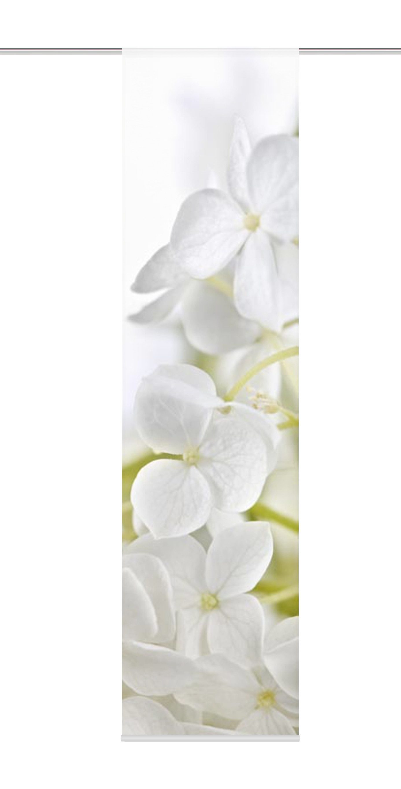 HOME WOHNIDEEN Schiebegardine Home Fashion 87353-701 Schiebewand Digitaldru günstig online kaufen