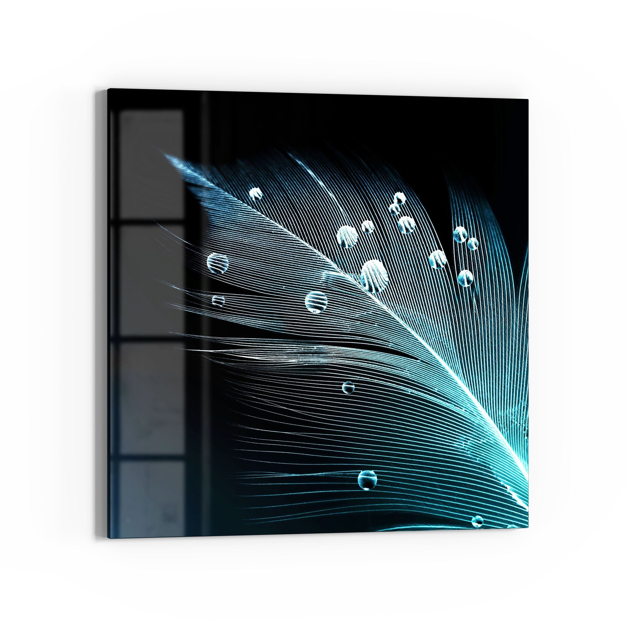 DEQORI Glasbild 'Feder mit Wasserperlen', 'Feder mit Wasserperlen', Glas Wandbild Bild schwebend modern