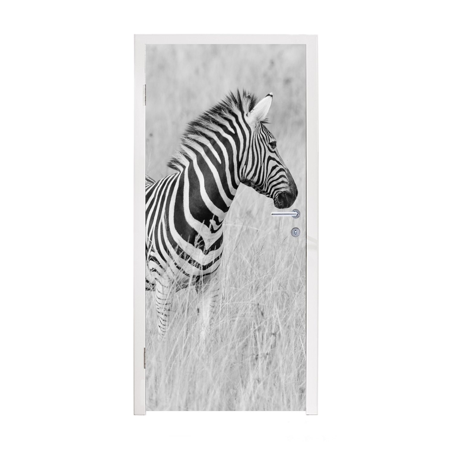 MuchoWow Türtapete Zebra auf der Wiese, Matt, bedruckt, (1 St), Fototapete für Tür, Türaufkleber, 75x205 cm