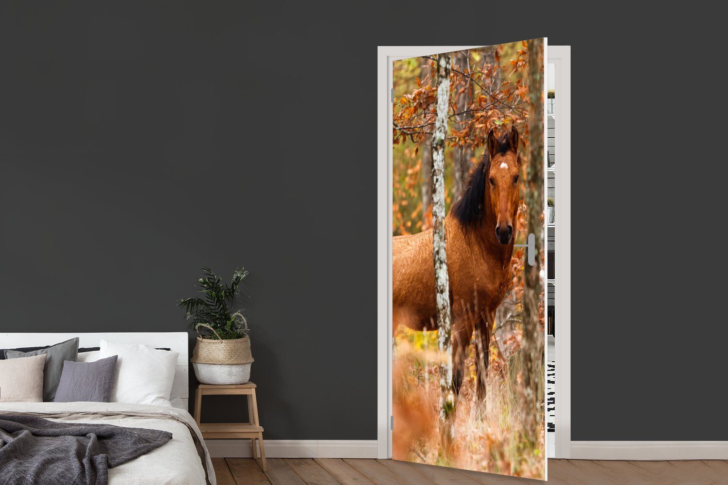 Matt, St), bedruckt, - Türtapete Pferd (1 MuchoWow Tür, cm Wald 75x205 Herbst, Fototapete Türaufkleber, - für