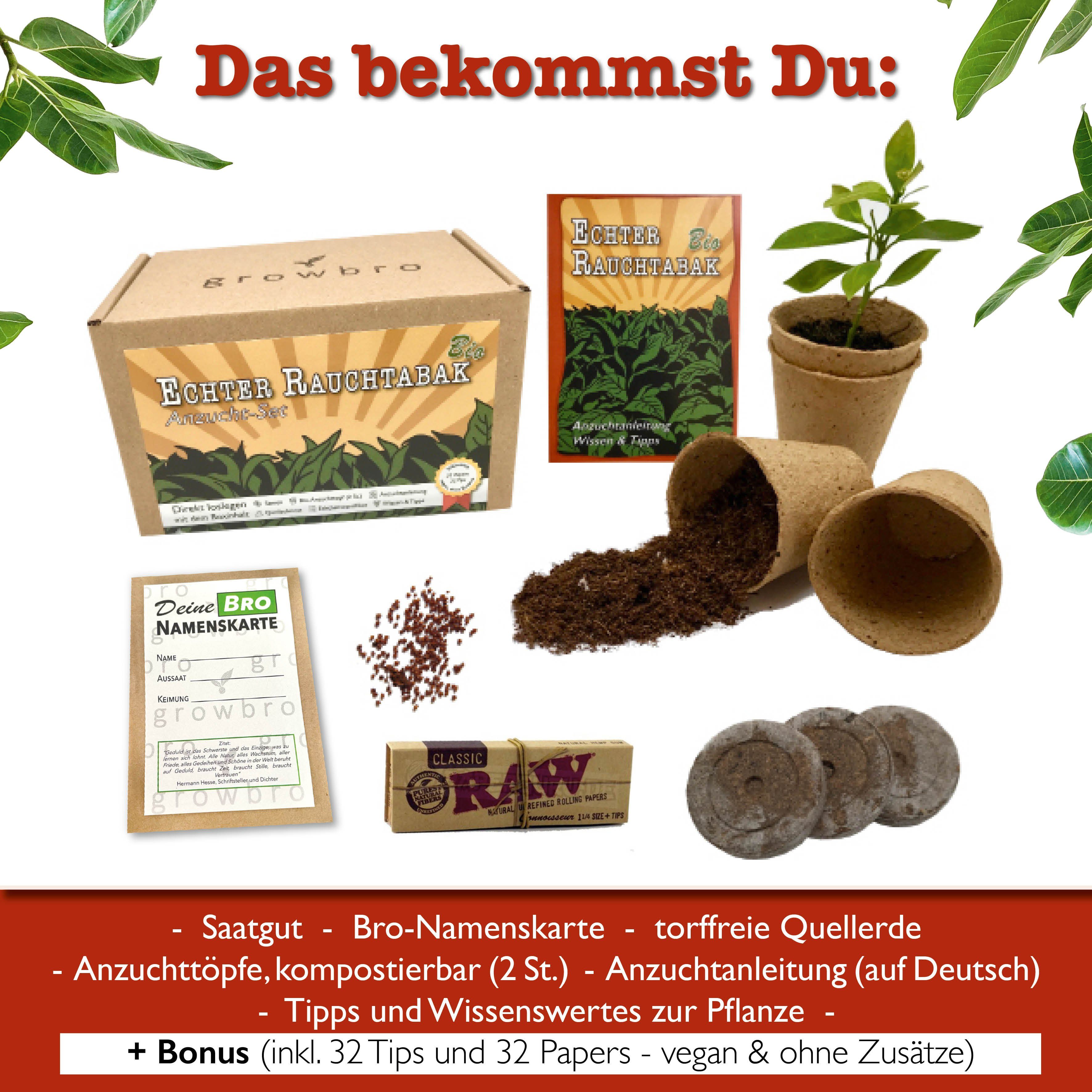 Gestecke Tabak BRO Anzuchtset ZÜCHTE Deine günstig online kaufen