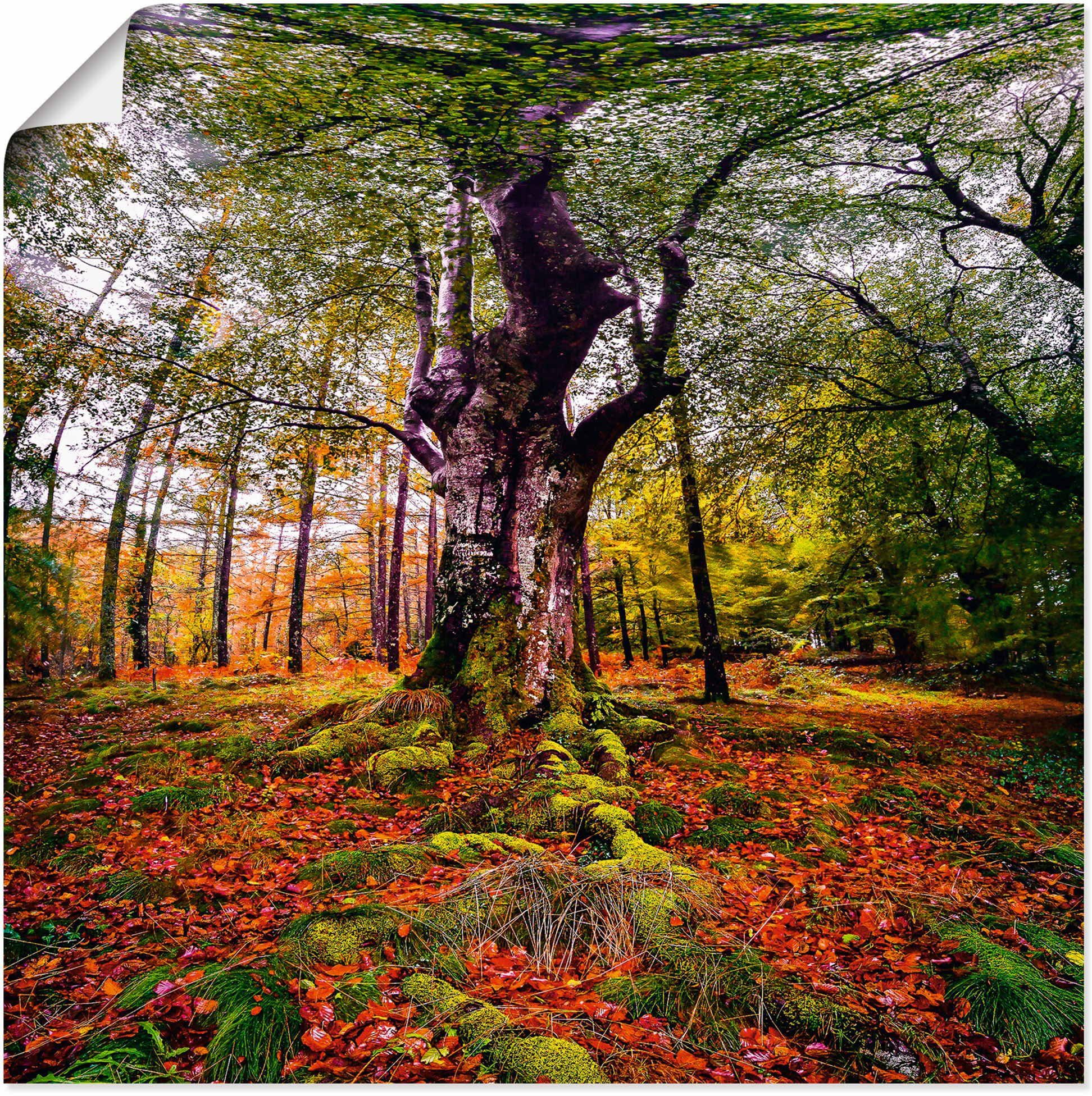 in Alubild, Poster Leinwandbild, als St), Wald, Wandaufkleber Baum Größen (1 Baumbilder Wandbild oder versch. Artland im