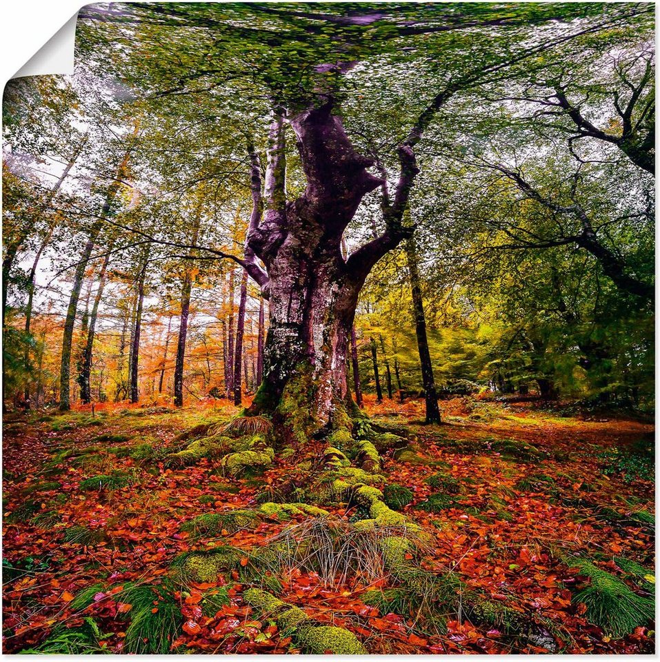 Artland Wandbild Baum im Wald, Baumbilder (1 St), als Leinwandbild, Poster  in verschied. Größen
