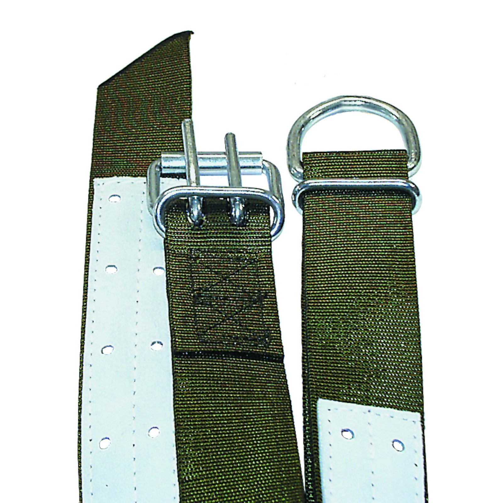 electra gmbh Tier-Halsband Halsband für Bullen - dunkelgrün, 150 cm, Trevira-Nylongurt