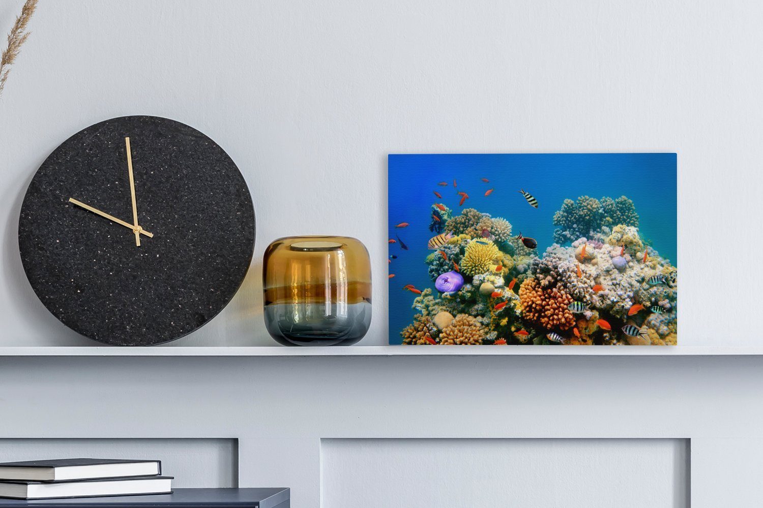 OneMillionCanvasses® Leinwandbild Tropisch - Fische - günstig online kaufen