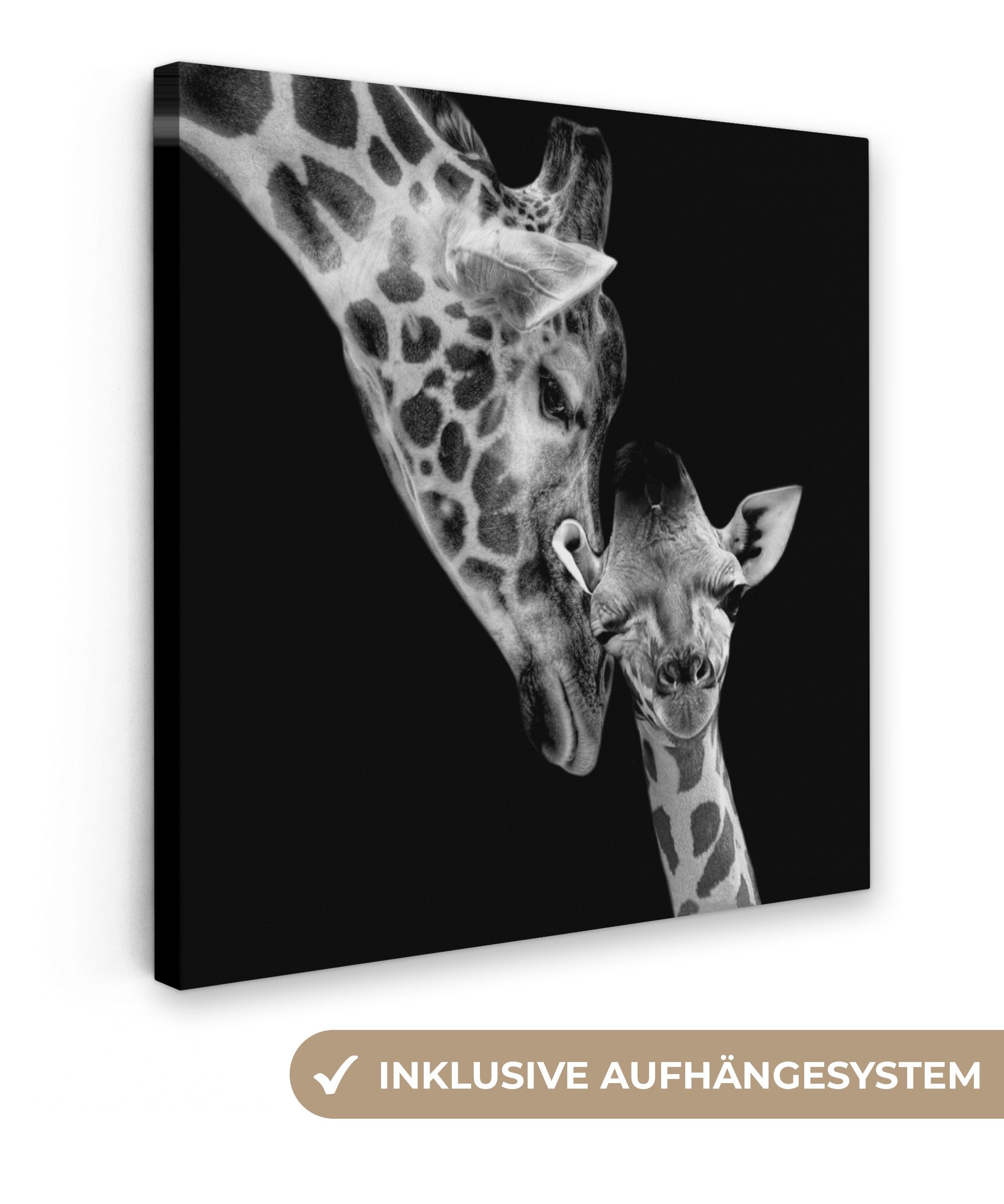 OneMillionCanvasses® Leinwandbild Porträt - Giraffe - günstig online kaufen