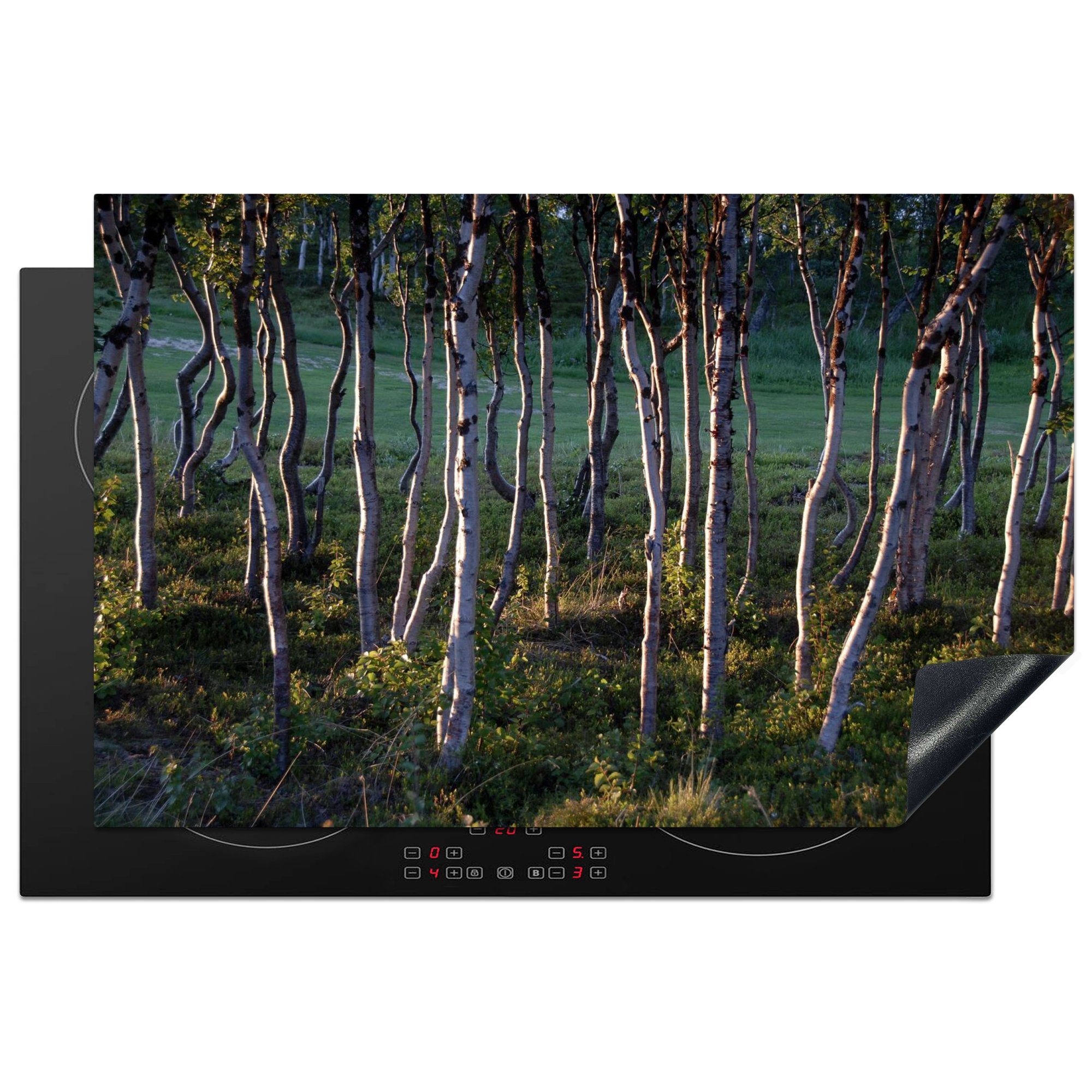 MuchoWow Herdblende-/Abdeckplatte Birkenwald im Abisko-Nationalpark in Schweden, Vinyl, (1 tlg), 81x52 cm, Induktionskochfeld Schutz für die küche, Ceranfeldabdeckung