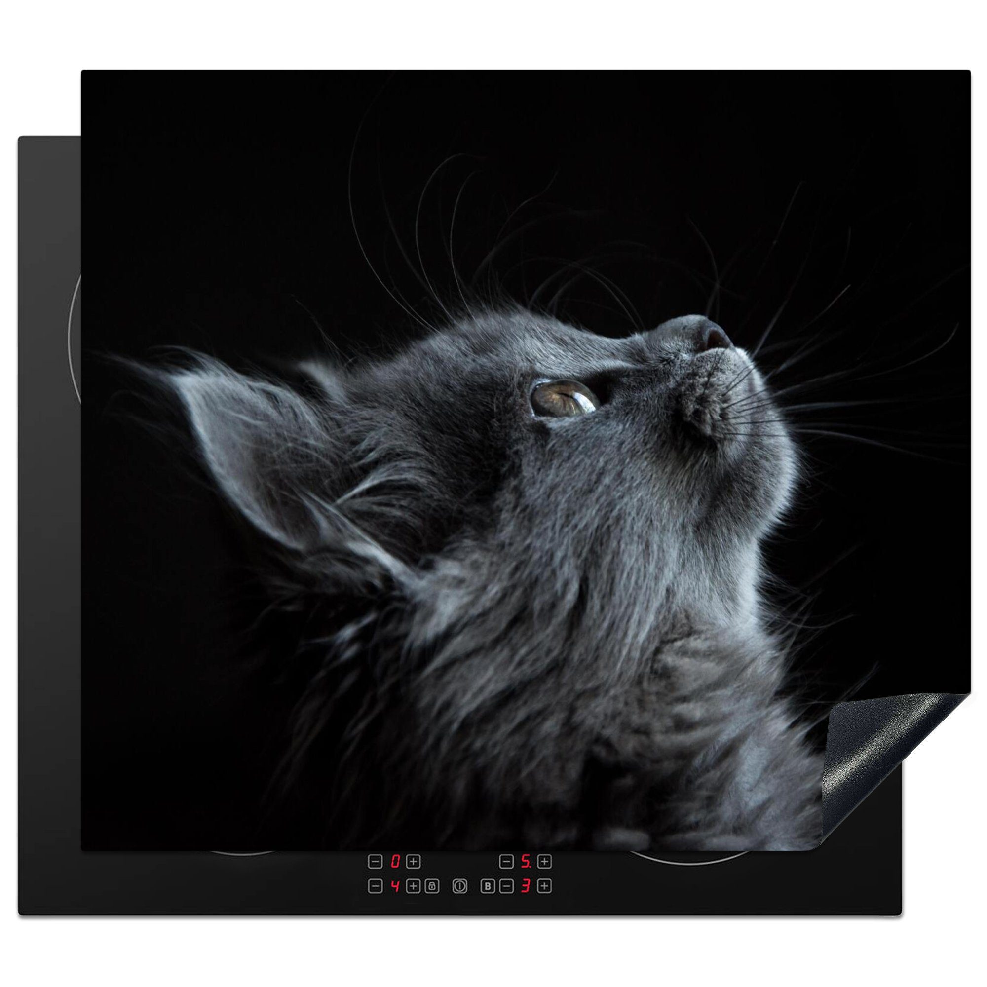 MuchoWow Herd-Abdeckplatte Katze - Licht - Schwarz, Vinyl, (1 tlg), Küche Herdabdeckplatte Ceranfeld Vinyl Einteilig, 59x52 cm