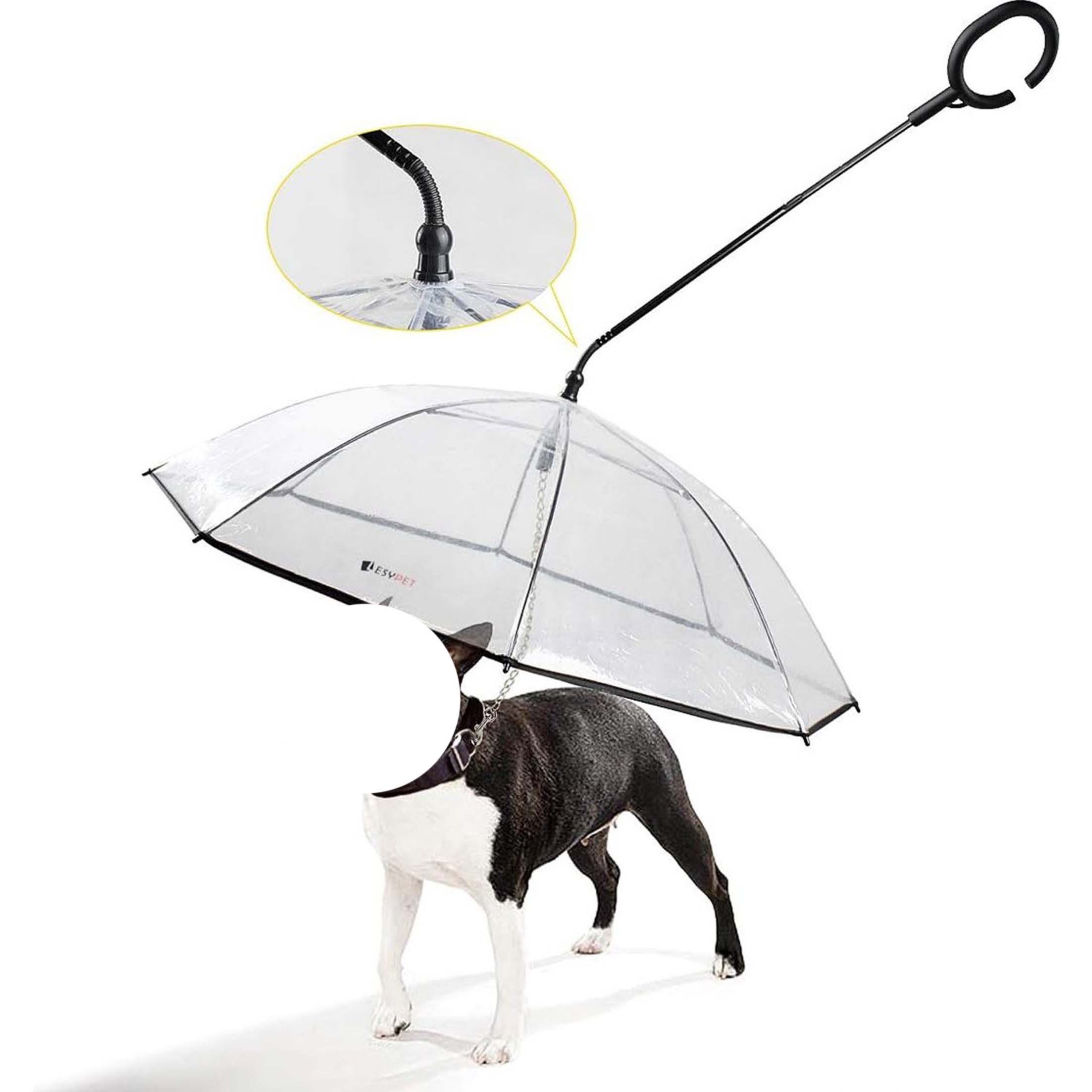 KINSI Hunde-Geschirr Hundeleine, Hunde Regenschirm, Durchsichtig, Haustier günstig online kaufen