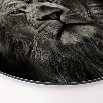 K&L Wall Art Gemälde Metallposter Rund König der Tiere Safari Löwe Wilde Katze Afrika, Metalloptik Wandbild Ø 30cm