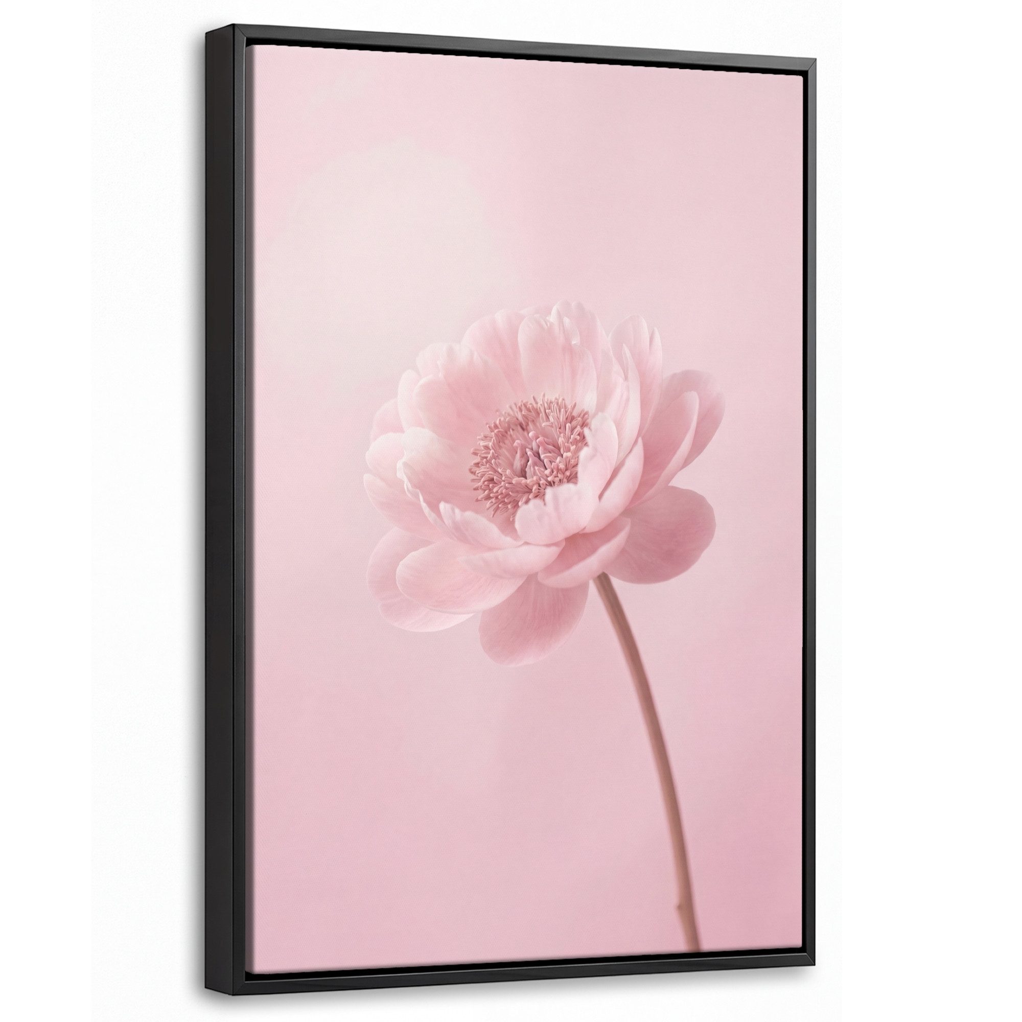 OneMillionCanvasses® Leinwandbild mit Rahmen - Blume - Pfingstrose - Rosa, Fotodruck (1 St), Deko für Wohnzimmer Schlafzimmer Küche 20x30cm