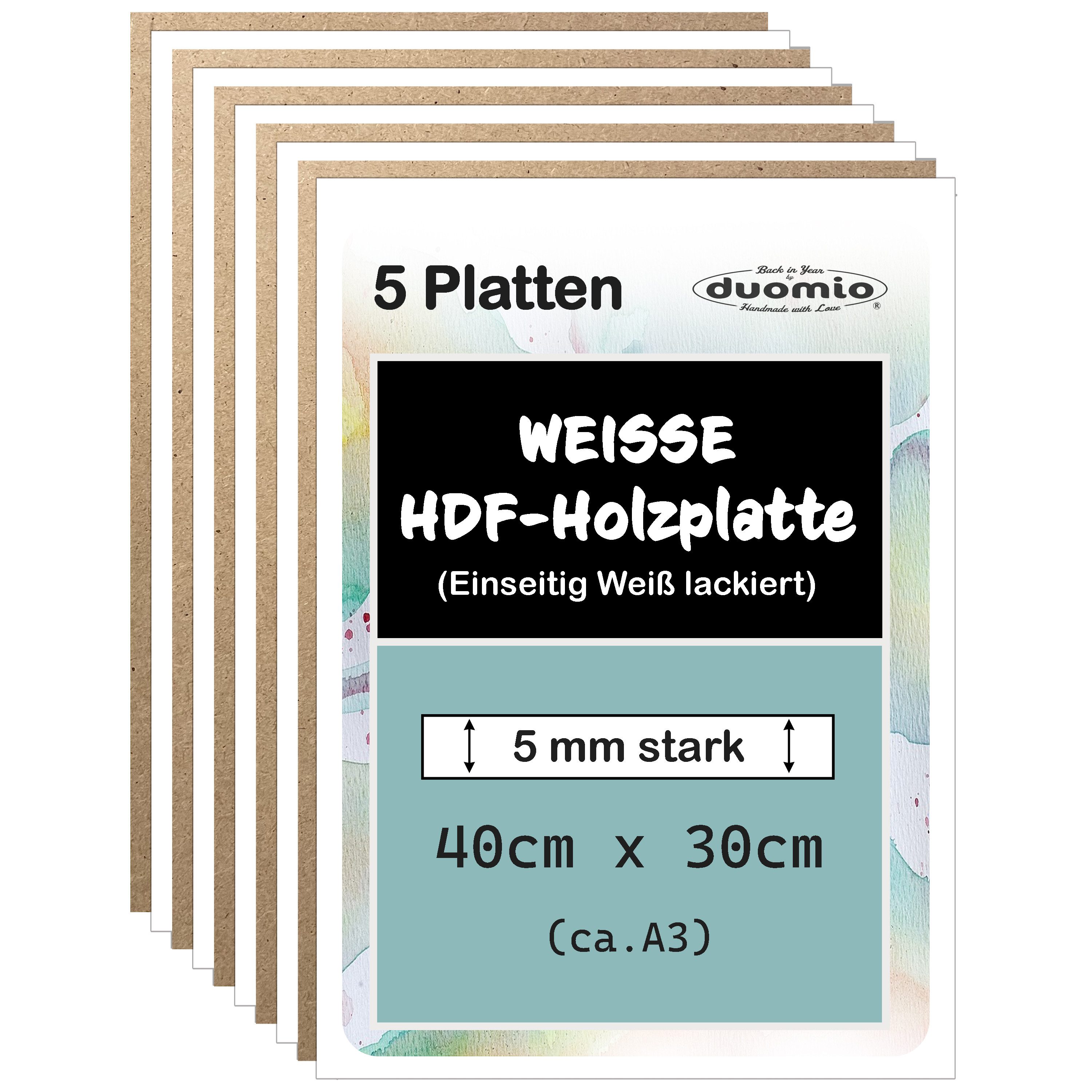 duomio Holzbild HDF Hochverdichtete Faserplatten - Einseitig Weiß lackiert 5mm stark, (5 St)