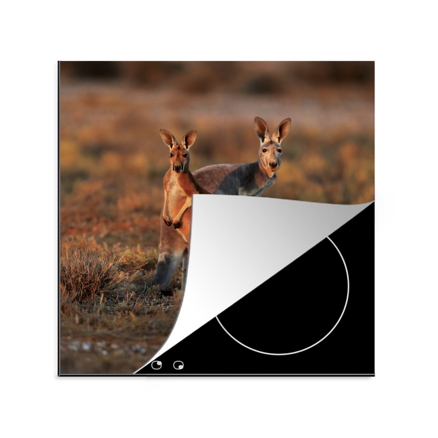 MuchoWow Herdblende-/Abdeckplatte Känguru - Tiere - Natur, Vinyl, (1 tlg), 78x78 cm, Ceranfeldabdeckung, Arbeitsplatte für küche