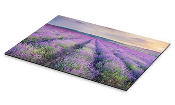 Posterlounge XXL-Wandbild Editors Choice, Lavendel im Sonnenuntergang, Mediterran Fotografie