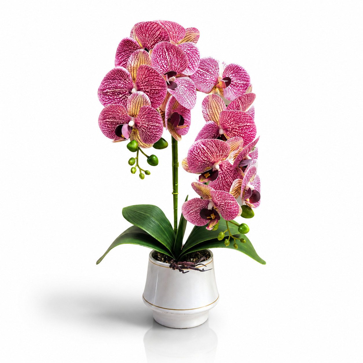 Kunstorchidee PASCH® Orchidee künstlich wie echt in Hochglanz-Keramiktopf Orchidee, PASCH, Hochglanz Keramiktopf