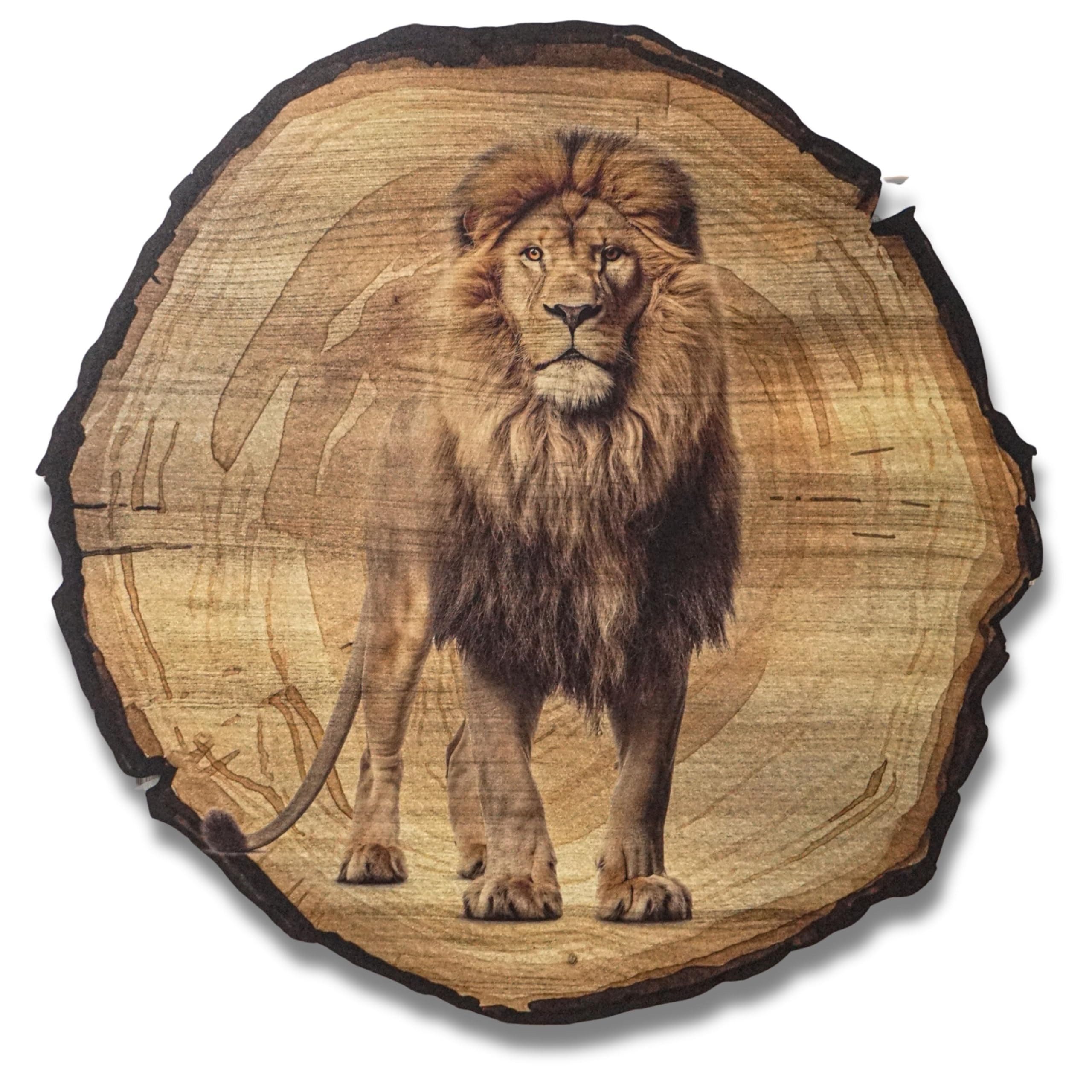 DARO Design Wandbild Wildtiere Jagd Wandbilder Wand Deko Bilder Natur, (Löwe2 - Bild klein Wohnzimmer Flur Arbeitszimmer Schlafzimmer Diele Einteilig Rund Fotodruck Jagd & Wildtiere), 20cm