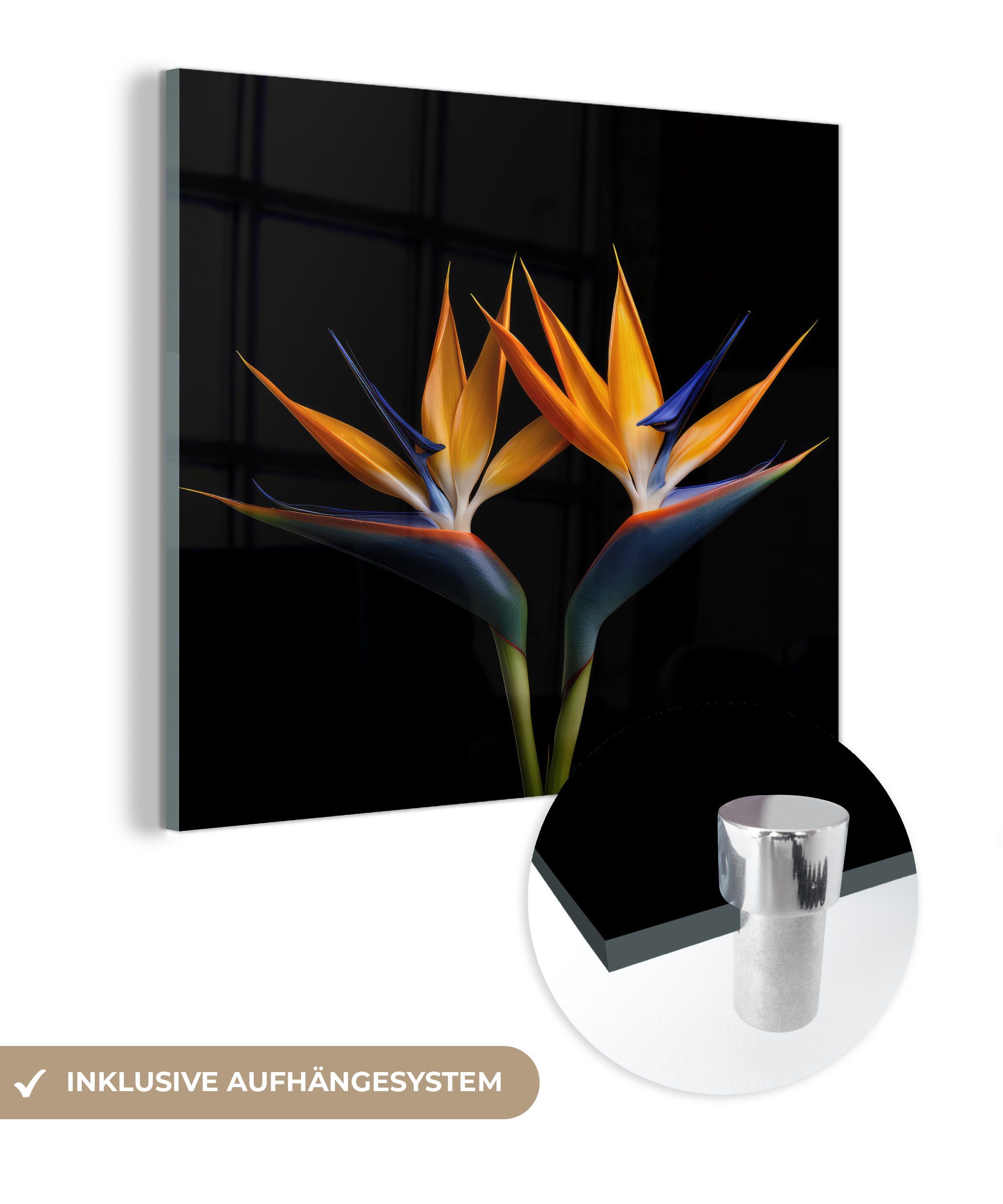 MuchoWow Acrylglasbild Pflanzen - Glasbilder Glas Bilder Blumen St), - - - auf - Wanddekoration Schwarz, Foto - Glas Porträt Wandbild Paradiesvogelblume (1 auf 