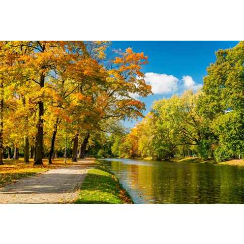 Papermoon Fototapete River in Autumn Park, glatt