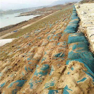 FUROKOY Bewässerungssystem 10 Stück Verdickte Segeltuch-Sandsäcke ohne Sand,Hochwasserschutz, Wiederverwendbare Hochwasserbarriere mit Bindebändern für Türen