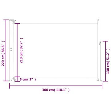 DOTMALL Seitenmarkise Seitenmarkise Ausziehbar 220x300 cm Schwarz