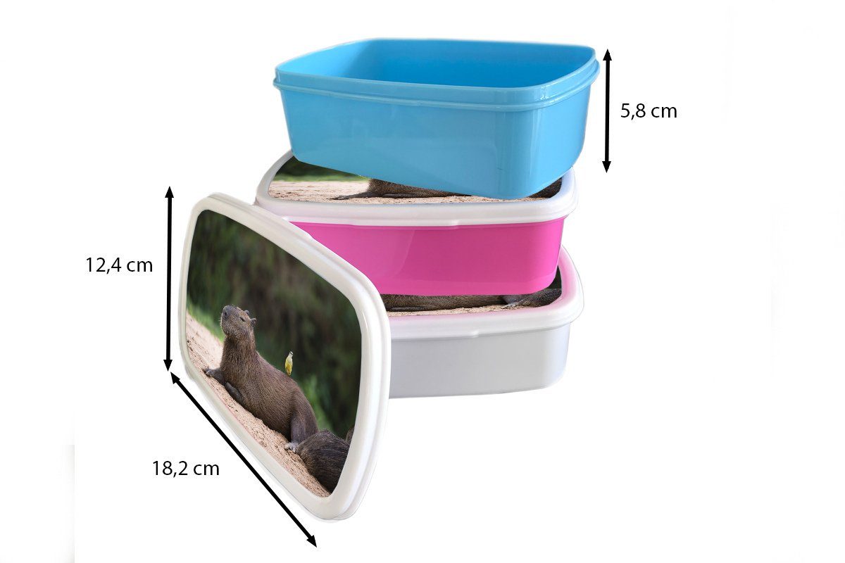 MuchoWow Lunchbox einem für mit (2-tlg), Ein Kunststoff Brotdose darauf, Mädchen, Brotbox Snackbox, Capybara Kunststoff, Erwachsene, Kinder, Vogel rosa kleinen