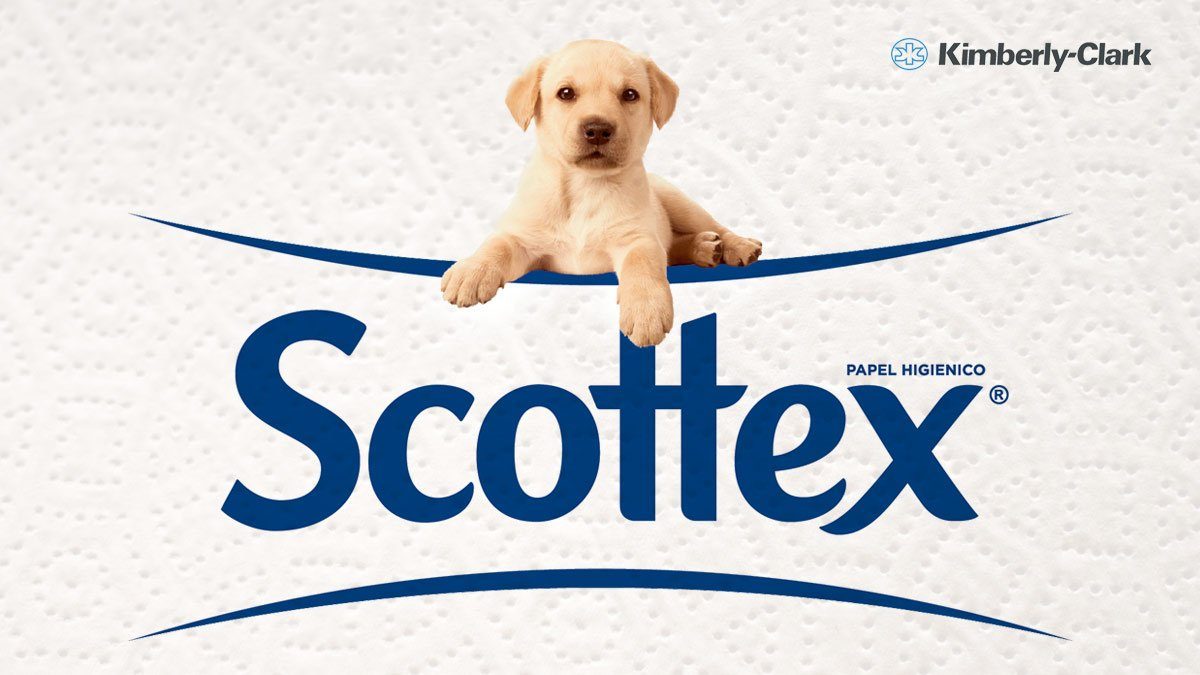 Scottex
