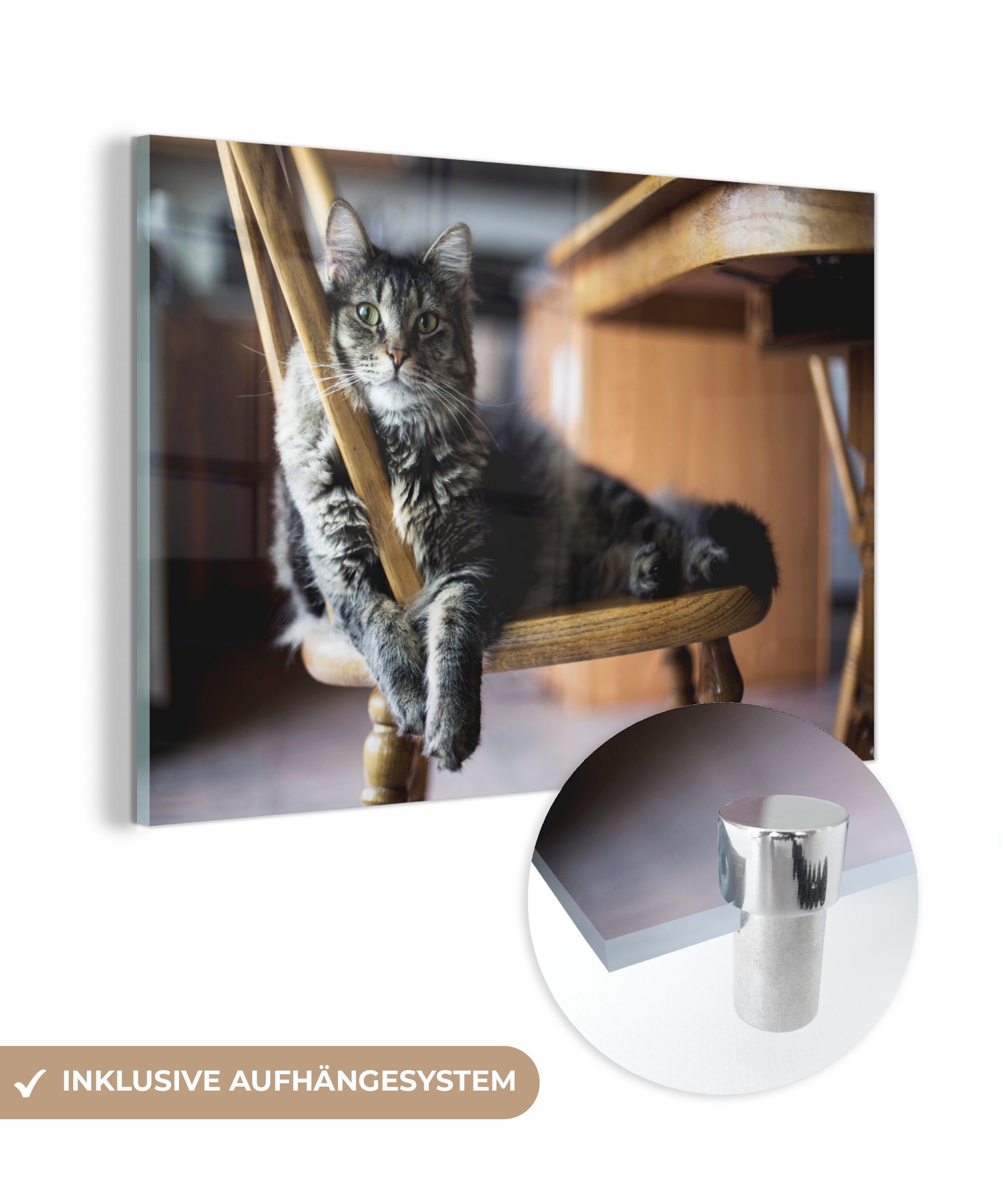 MuchoWow Acrylglasbild Katze - Stuhl - Haustier, (1 St), Acrylglasbilder Wohnzimmer & Schlafzimmer