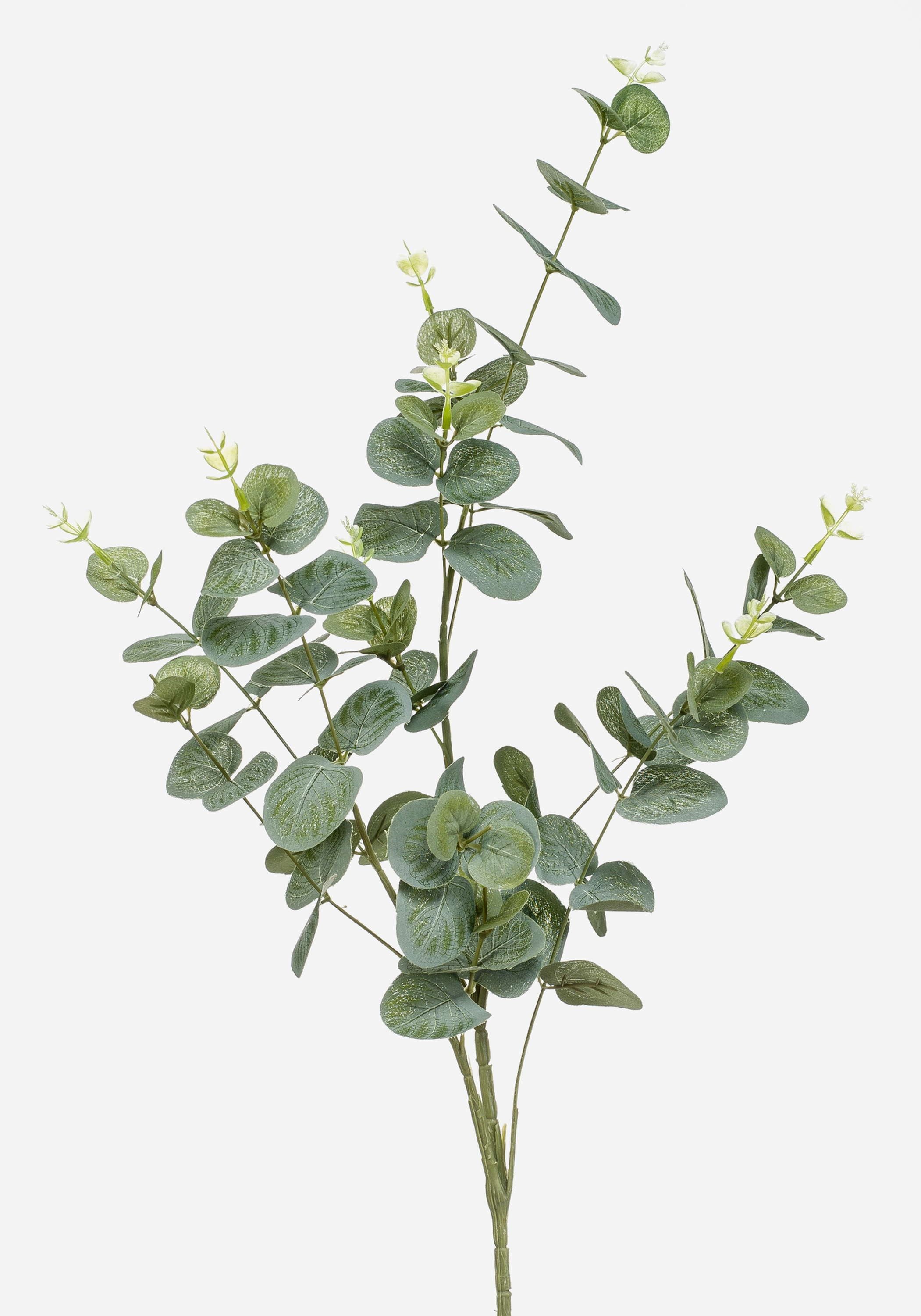 Kunstzweig Eukalyptus Derek, grün-grau, 75cm Eukalyptus, artplants