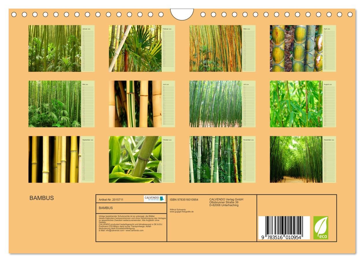 Thumbnail - CALVENDO Wandkalender BAMBUS (Wandkalender 2026 DIN A4 quer), CALVENDO Monatskalender