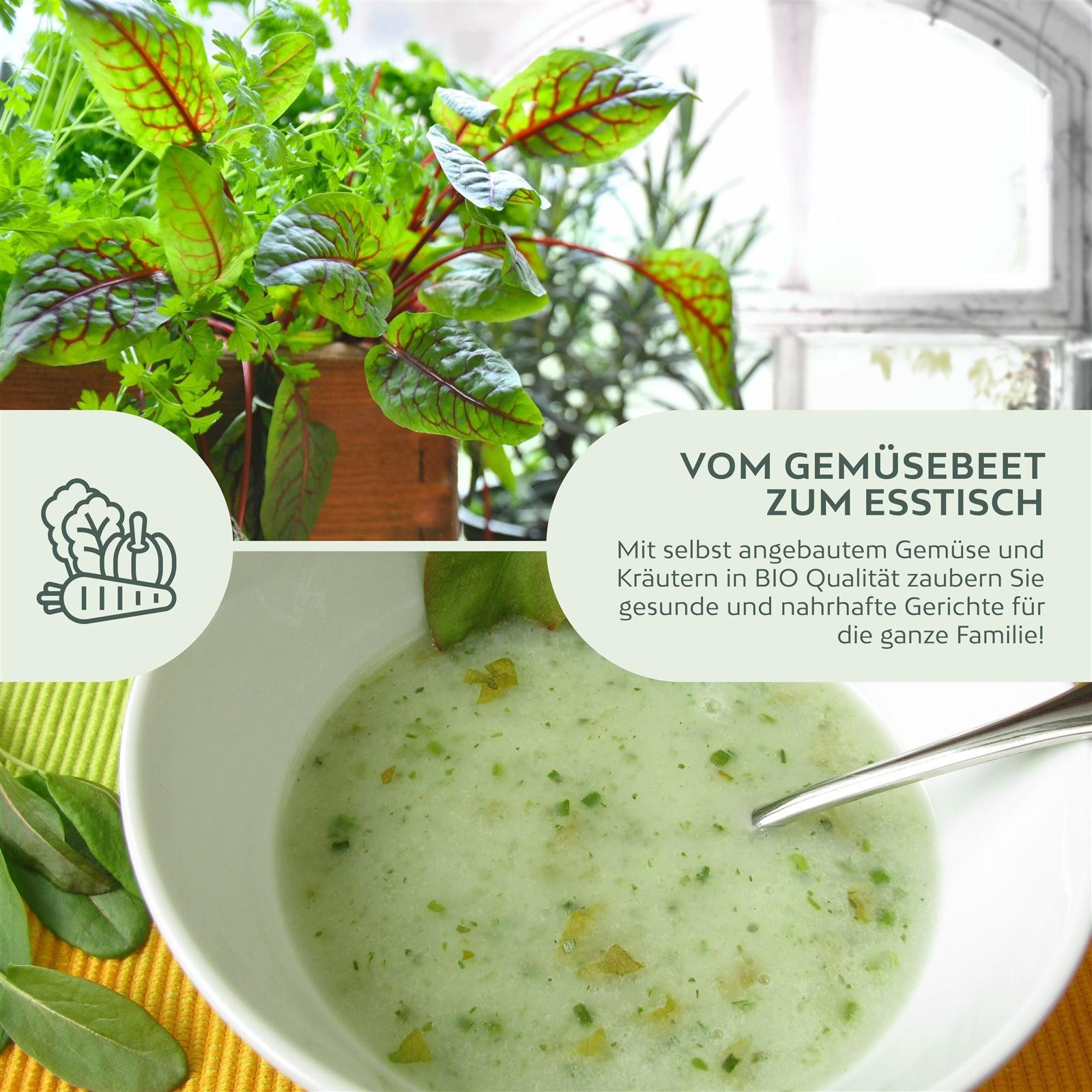 Growgreens Kräutersamen BIO Sauerampfer Samen - Heilkräuter Saatgut aus bio. Anbau (200 Korn) – Bild 5 von 5