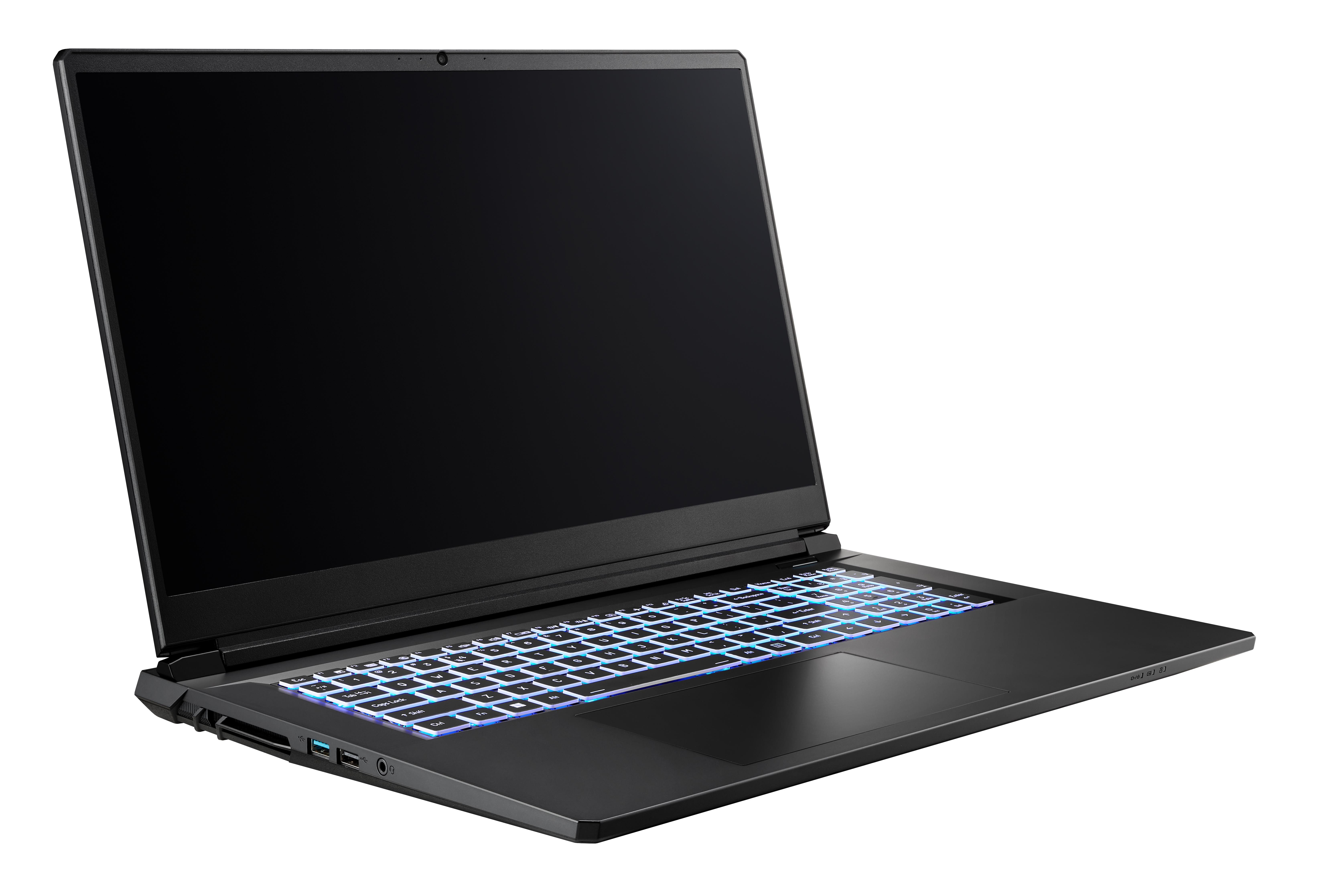 CAPTIVA Entry Gaming I10-1084GE Notebook (43.9 cm/17,3 Zoll, INTEL Core i7 13620H, NVIDIA GeForce RTX 5060, 16 GB, 500 GB SSD, WLAN & Bluetooth, Tastatur: DE Layout, Windows 11 Home)