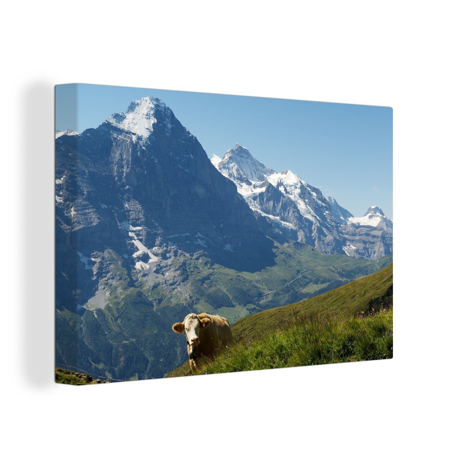 OneMillionCanvasses® Leinwandbild Schweizer Kuh vor dem Eiger in der Jungfrauregion, (1 St), Wandbild Leinwandbilder, Aufhängefertig, Wanddeko, 30x20 cm