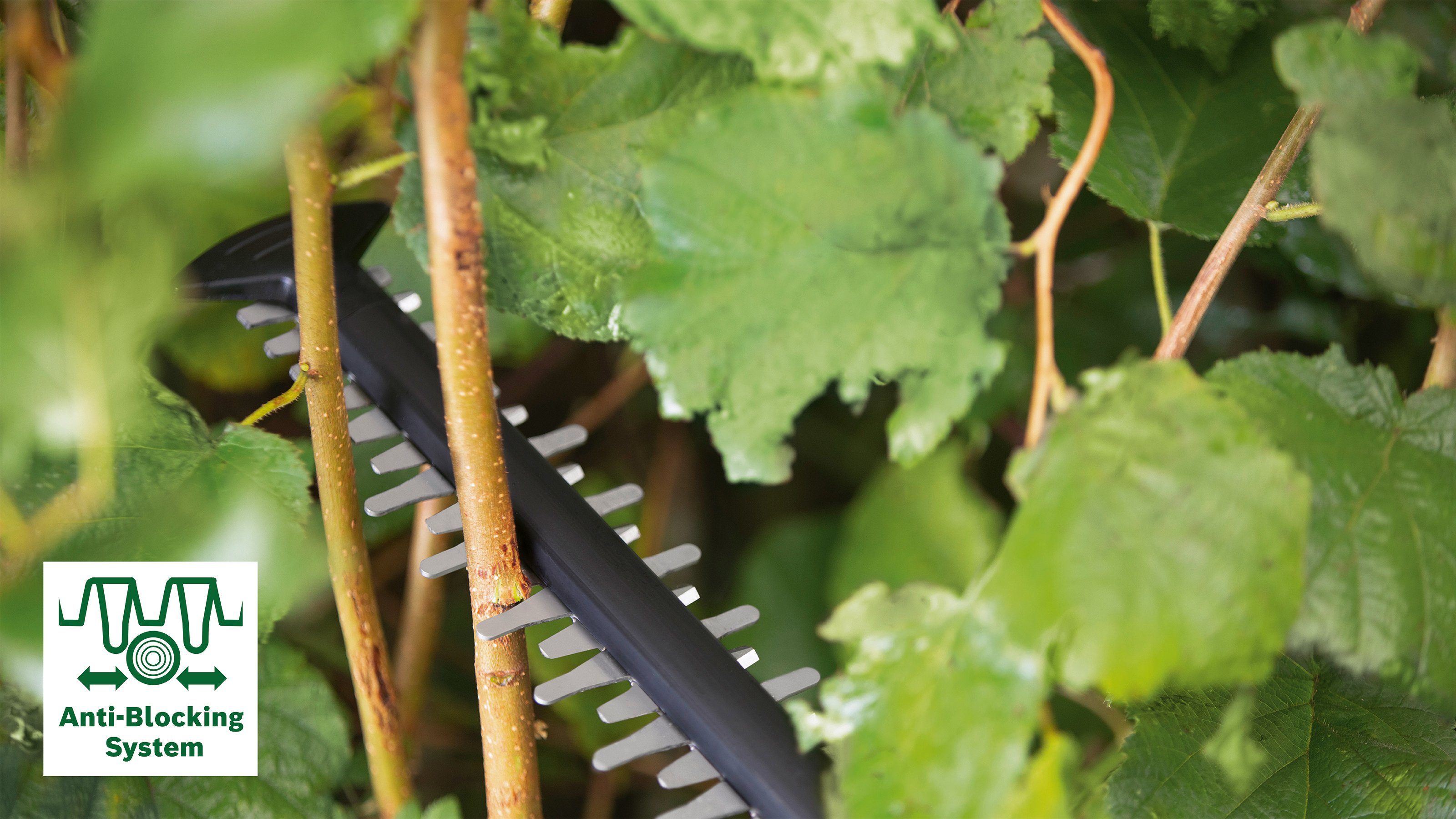 Bosch Home & Garden Akku-Heckenschere AdvancedHedgeCut 36V 65 28, mit Akku 36V/2,0 Ah und Ladegerät