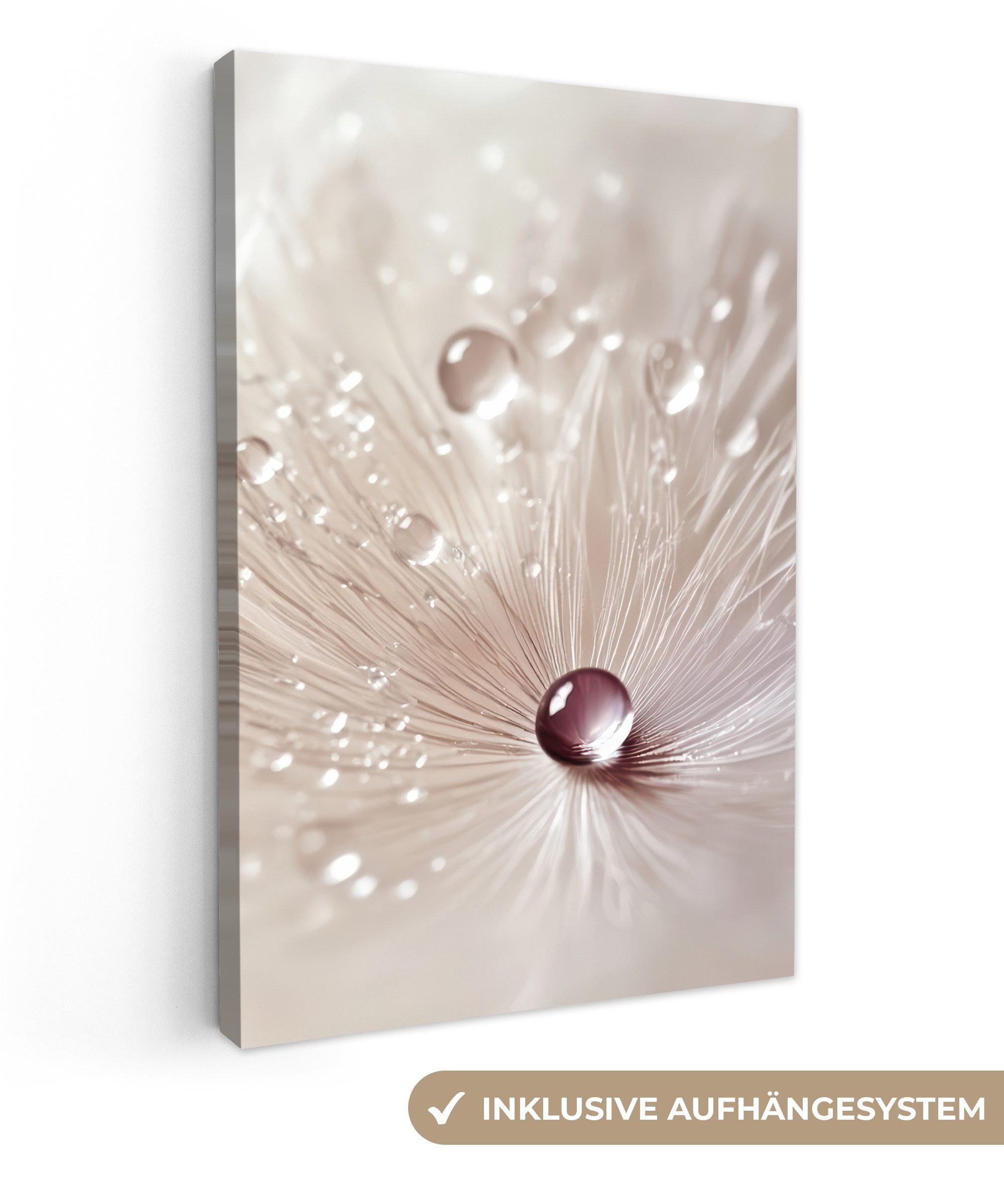 OneMillionCanvasses® Leinwandbild Blume - Abstrakt - Weiß - Wasser - Natur, günstig online kaufen