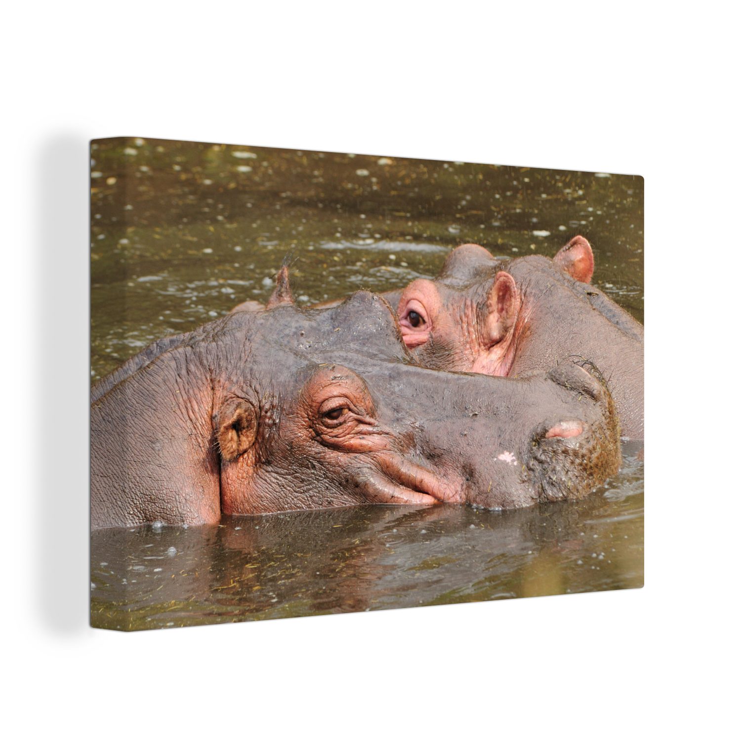 OneMillionCanvasses® Leinwandbild Nilpferd - Wasser - Natur, (1 St), Wandbild Leinwandbilder, Aufhängefertig, Wanddeko, 30x20 cm