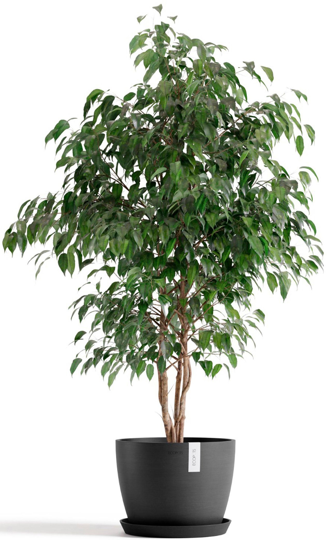 ECOPOTS Blumentopf Stockholm 31 Dunkelgrau, für günstig online kaufen
