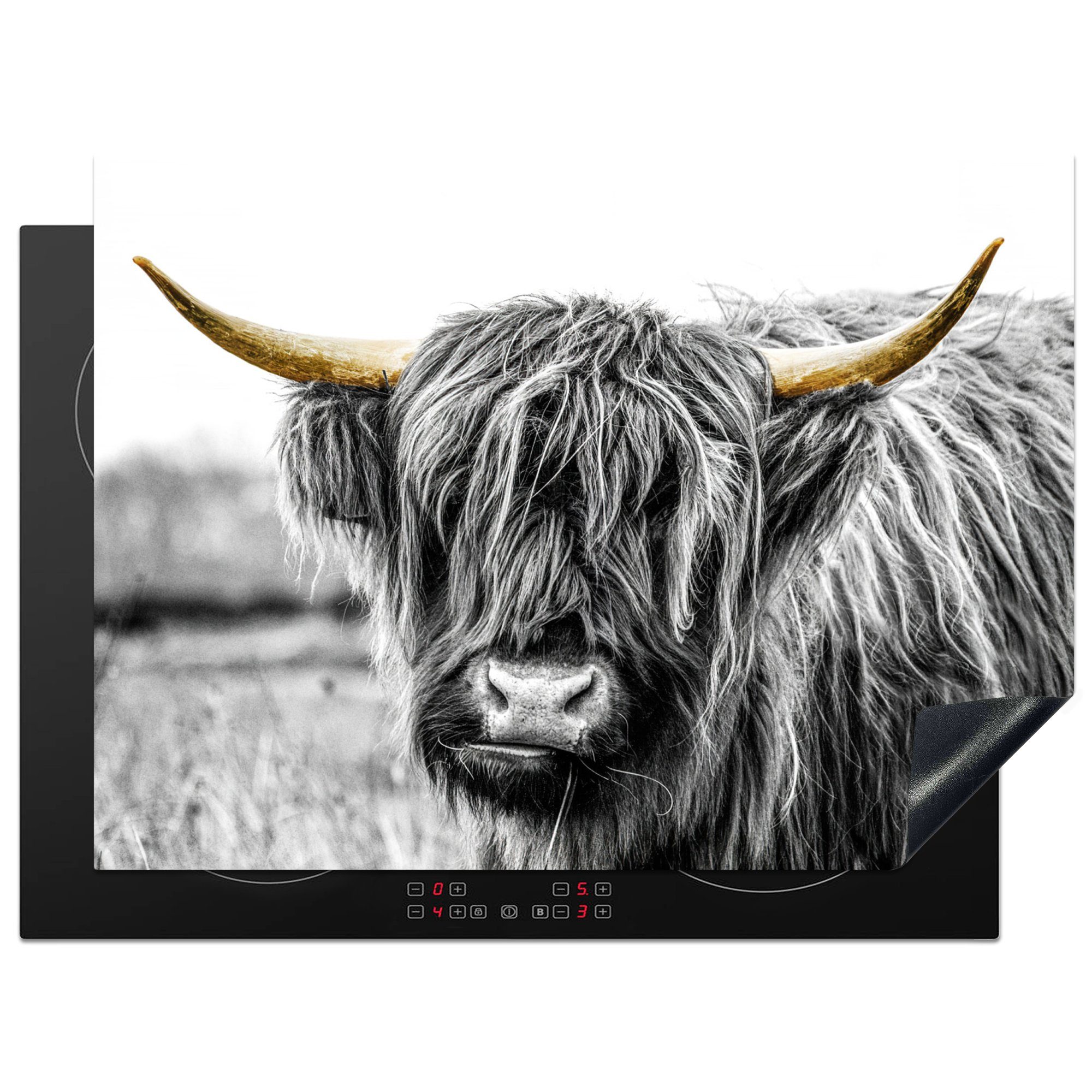 MuchoWow Herdblende-/Abdeckplatte Schottischer Highlander - Kuh - Schwarz - Gold, Vinyl, (1 tlg), 71x52 cm, Induktionskochfeld Schutz für die küche, Ceranfeldabdeckung