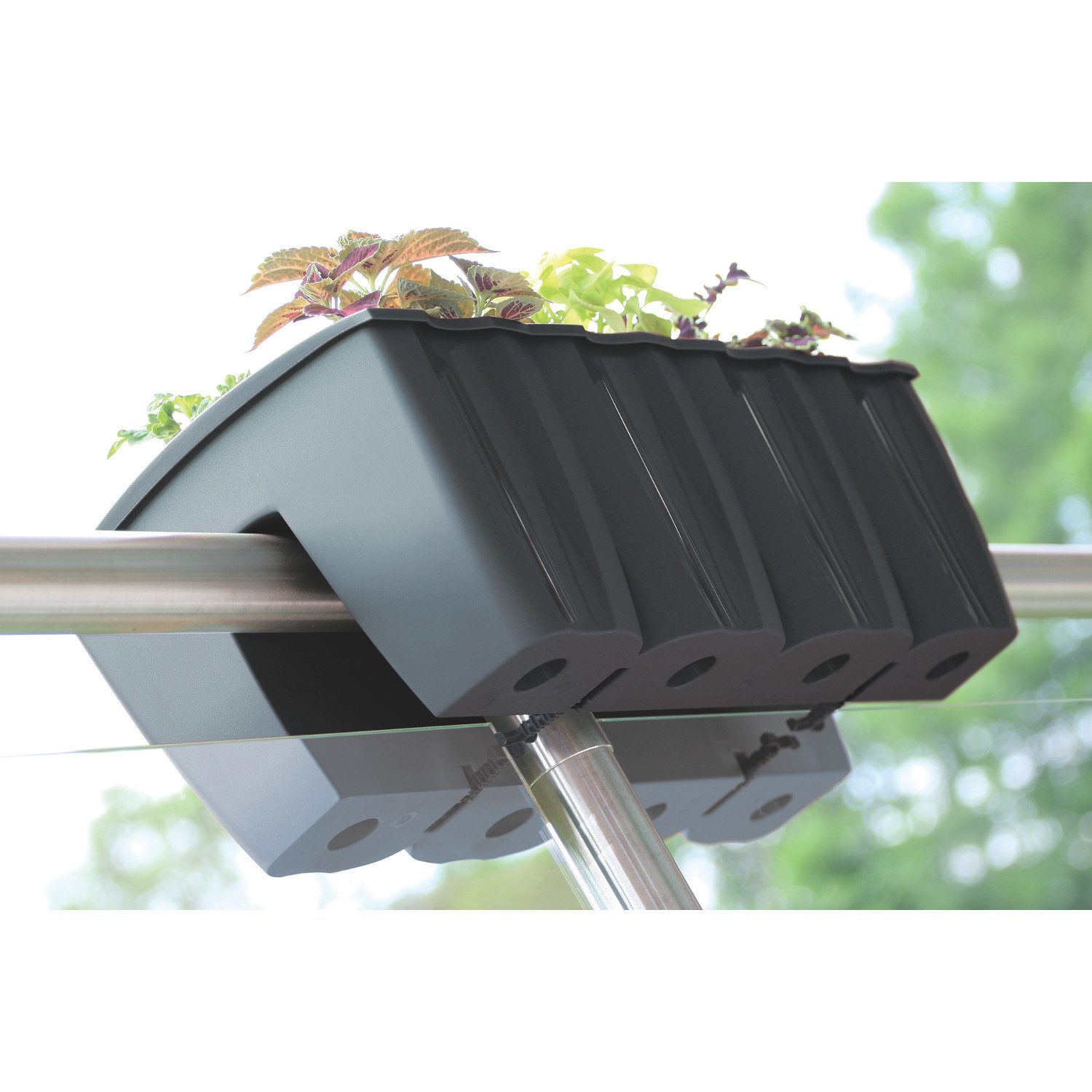 Prosperplast Blumenkasten Balkonkasten Topf für Balustrade (5 St), Balkonbr günstig online kaufen