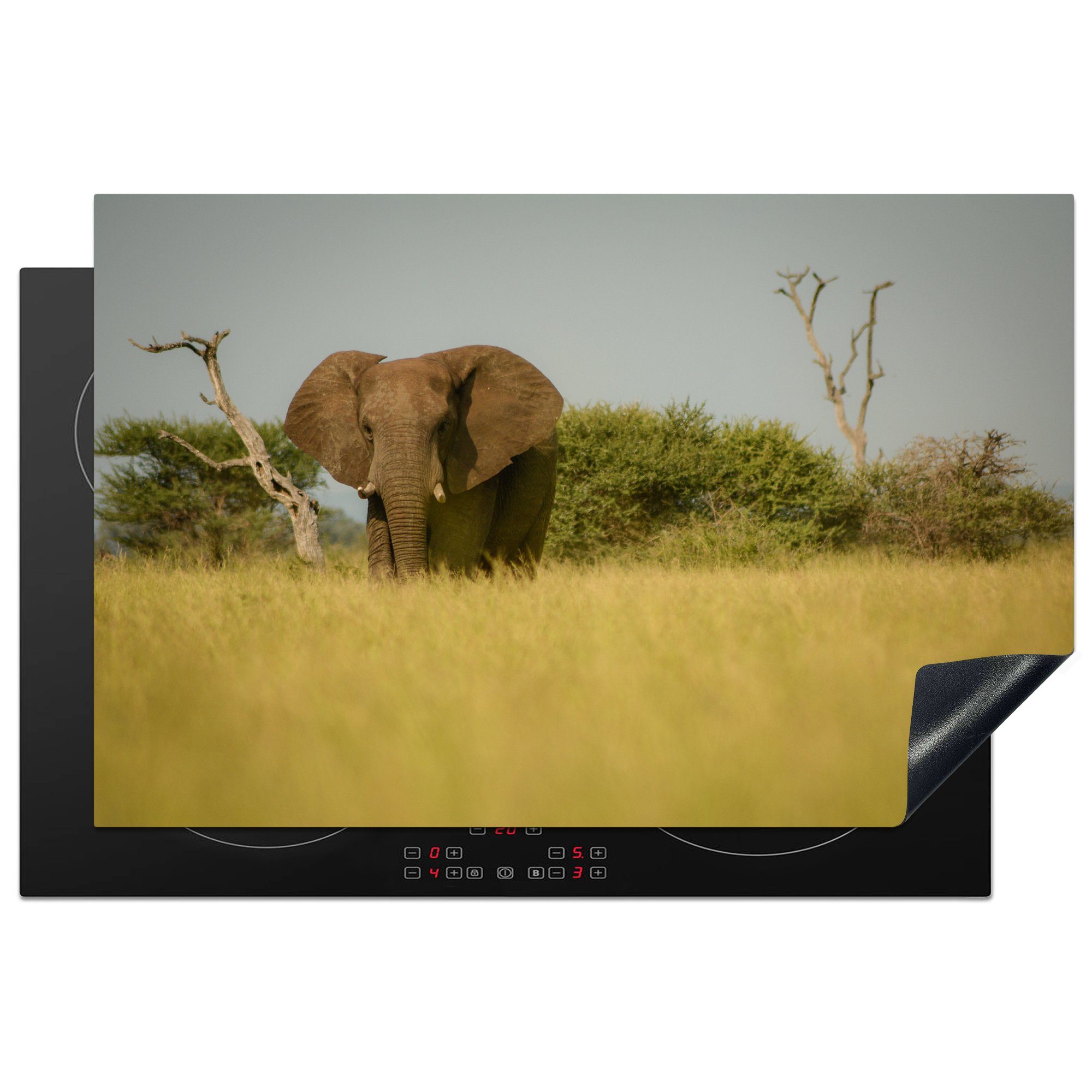 Ein cm, Schutz 81x52 gesichtet, Safari Herdblende-/Abdeckplatte für tlg), auf Induktionskochfeld MuchoWow küche, (1 die Ceranfeldabdeckung Elefant Vinyl,