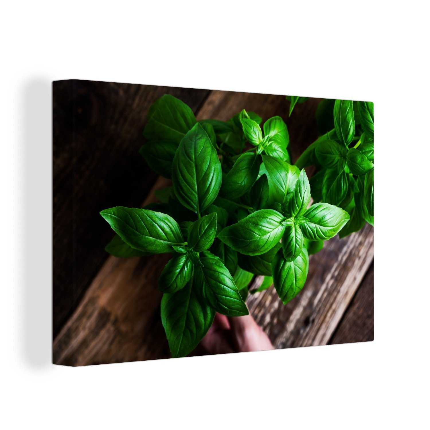 OneMillionCanvasses® Leinwandbild Basilikum-Pflanzen, (1 St), Wandbild Leinwandbilder, Aufhängefertig, Wanddeko, 30x20 cm