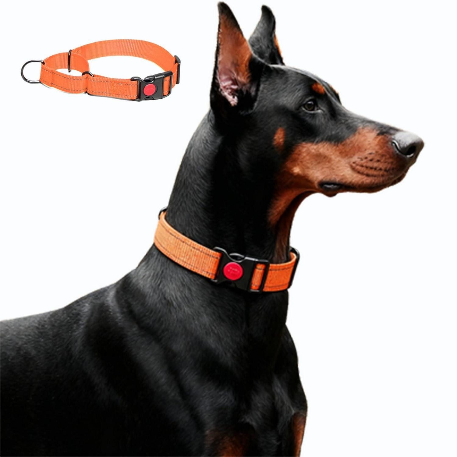 LuxusKollektion Hunde-Halsband Martingal-Halsband Orange L