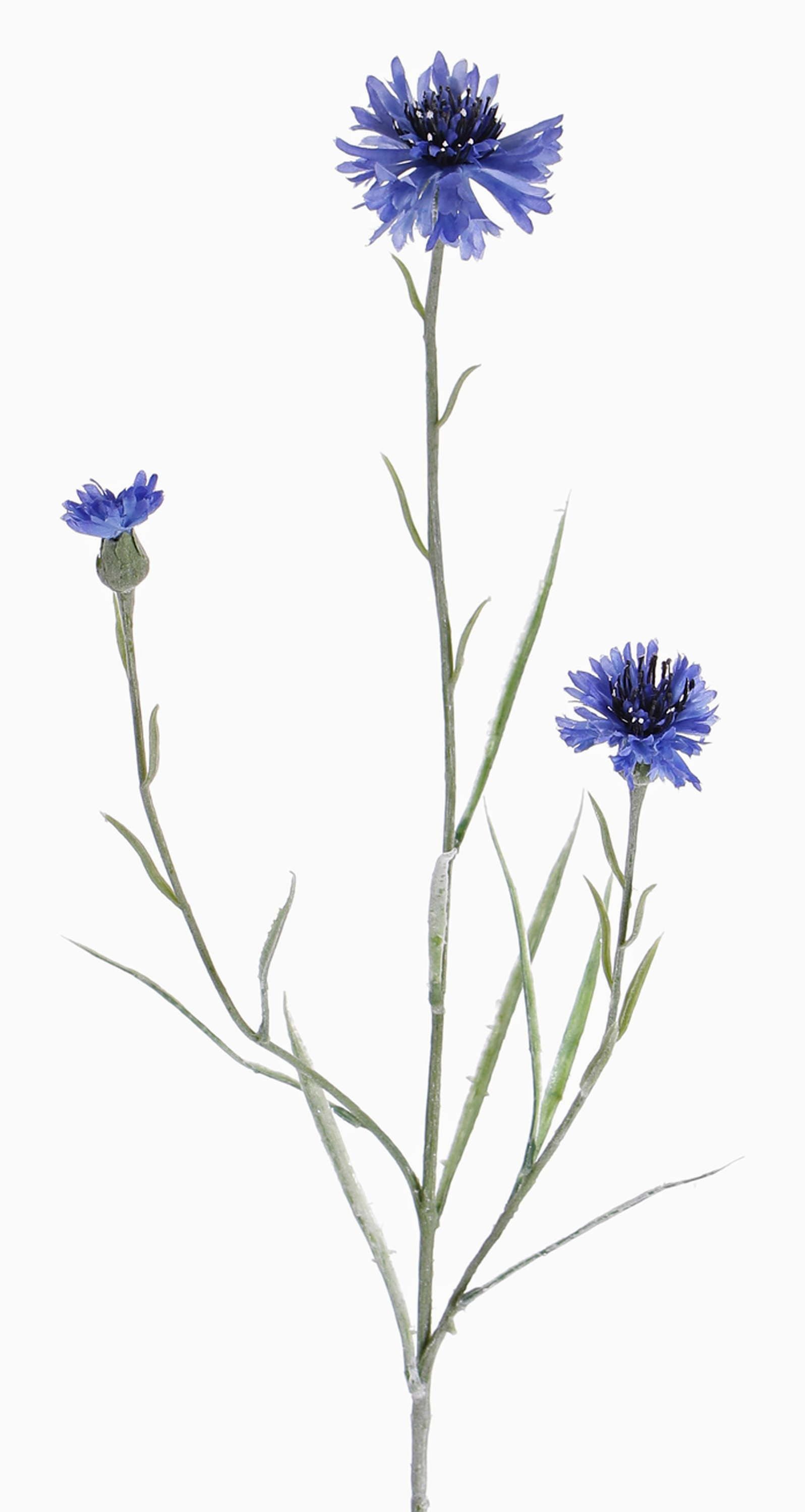 Kunstzweig Deko Zweig Kornblume Kelsie, blau, 70cm, Ø 4cm - Künstliche Kornblume Kornblume, artplants, Höhe 65.0 cm