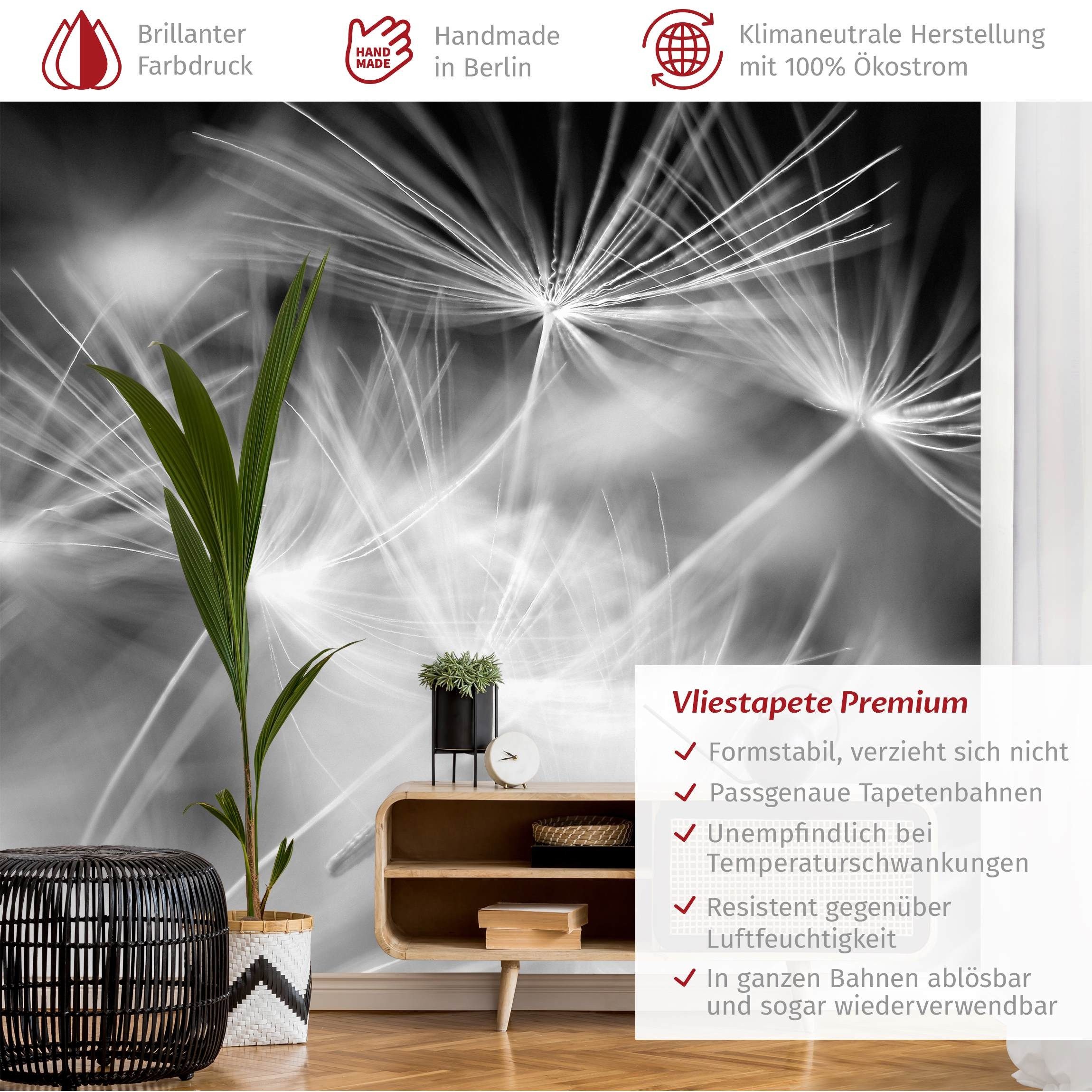 Bilderdepot24 Vliestapete Schwarz-Weiß Pusteblumen Natur Blumen günstig online kaufen
