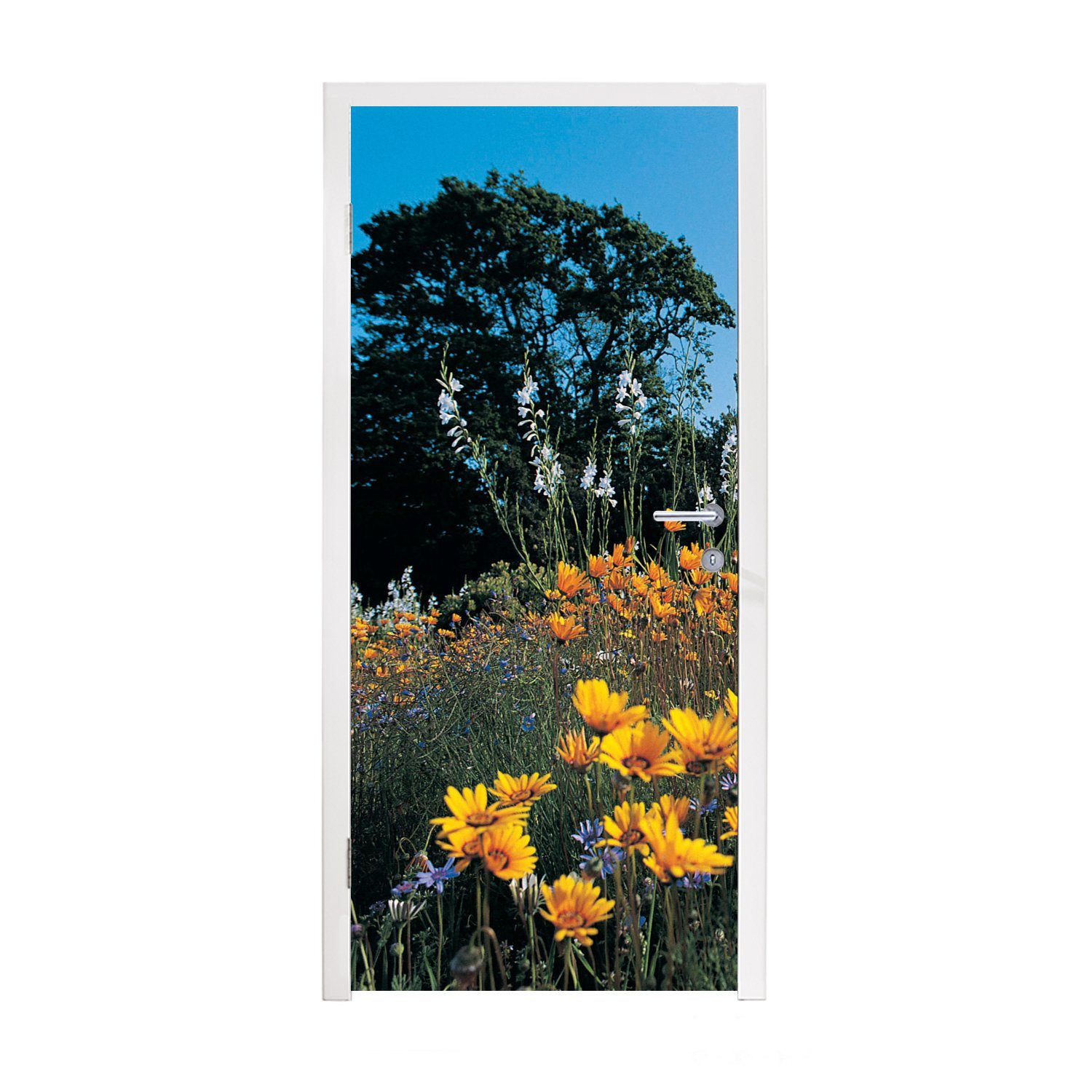 MuchoWow Türtapete Blumen - Natur - Farbe, Matt, bedruckt, (1 St), Fototapete für Tür, Türaufkleber, 75x205 cm