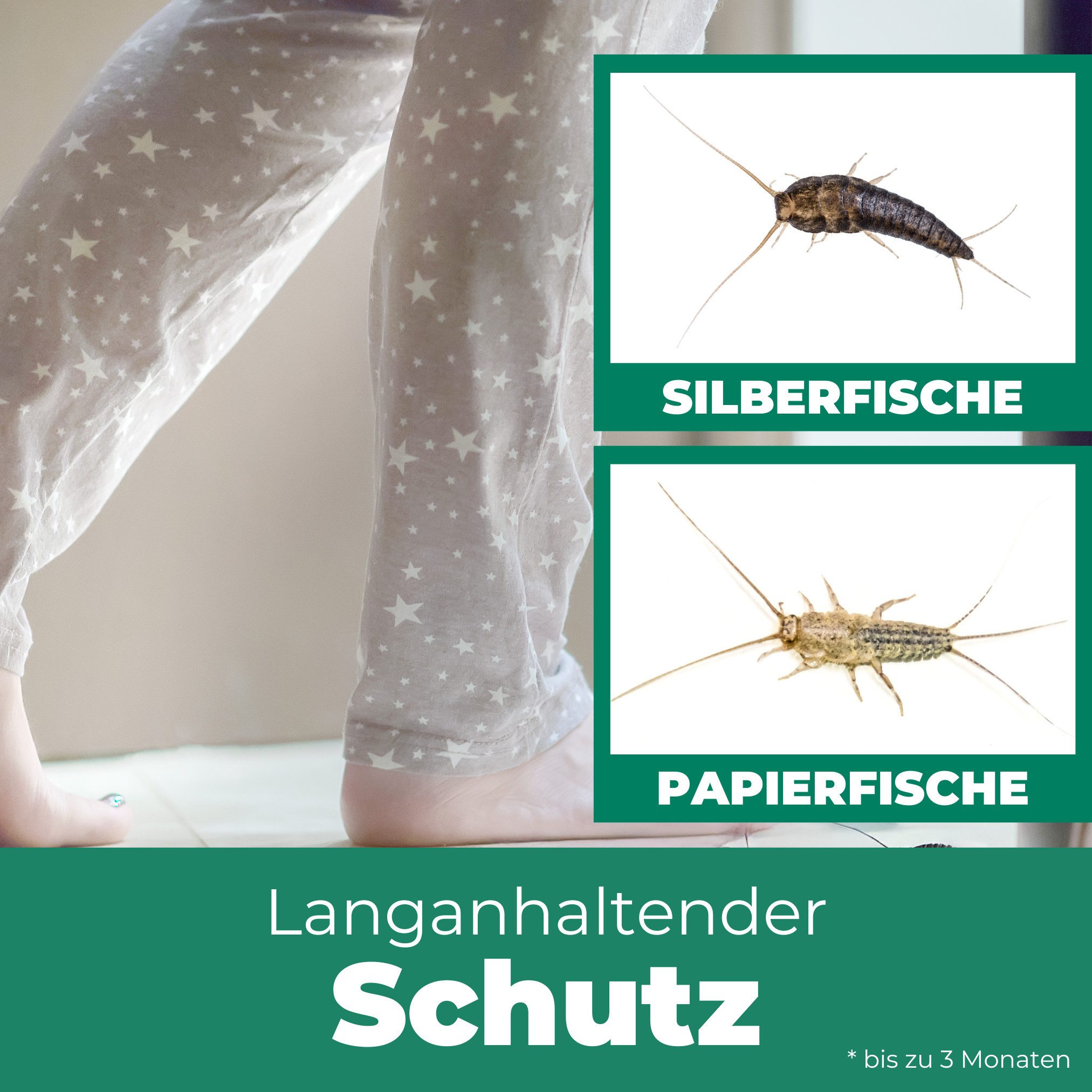 Silberkraft Insektenspray Silberfischspray inkl. E-Book, Sofort- und Langzeitwirkung, 500 ml, gezielte Anwendung in Ritzen & Laufwegen, Made in Germany