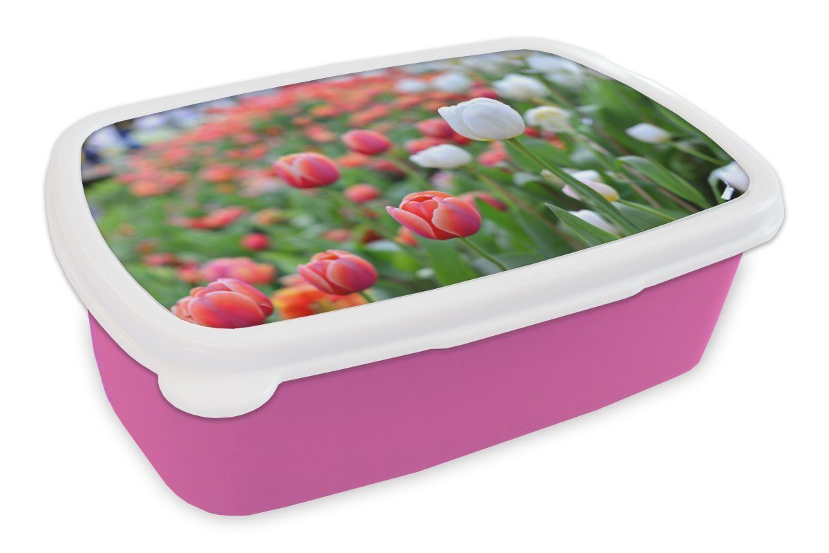 MuchoWow Lunchbox Eine Nahaufnahme von roten und weißen Tulpen, Kunststoff, (2-tlg), Brotbox für Erwachsene, Brotdose Kinder, Snackbox, Mädchen, Kunststoff rosa
