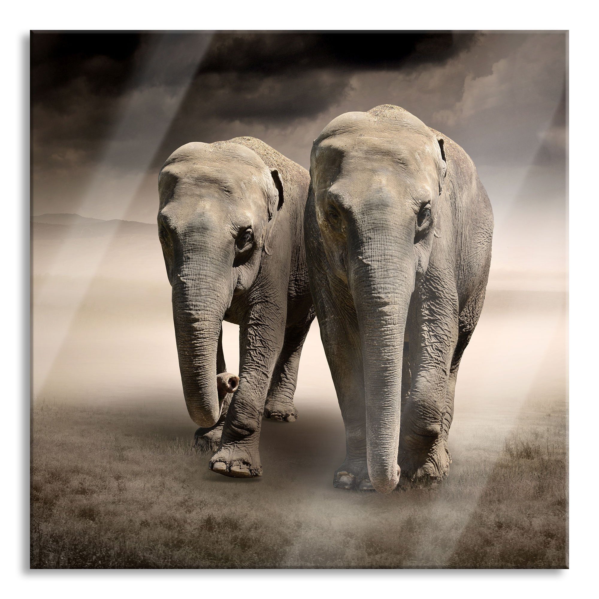 Pixxprint Glasbild Zwei Elefanten in Steppe, Zwei Elefanten in Steppe (1 St), Glasbild aus Echtglas, inkl. Aufhängungen und Abstandshalter