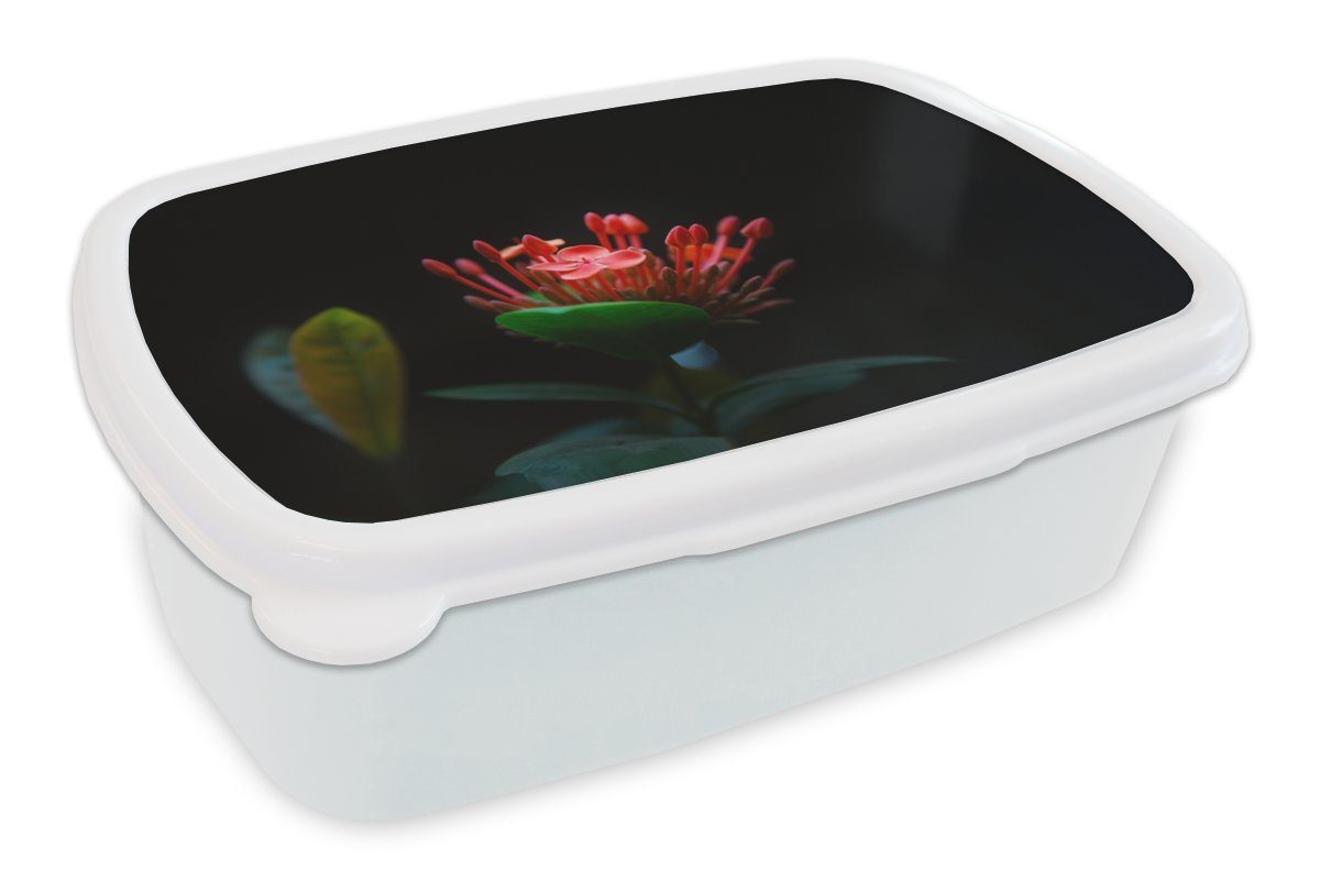 MuchoWow Lunchbox Ein Foto einer tropischen Blume auf schwarzem Hintergrund, Kunststoff, (2-tlg), Brotbox für Kinder und Erwachsene, Brotdose, für Jungs und Mädchen weiß