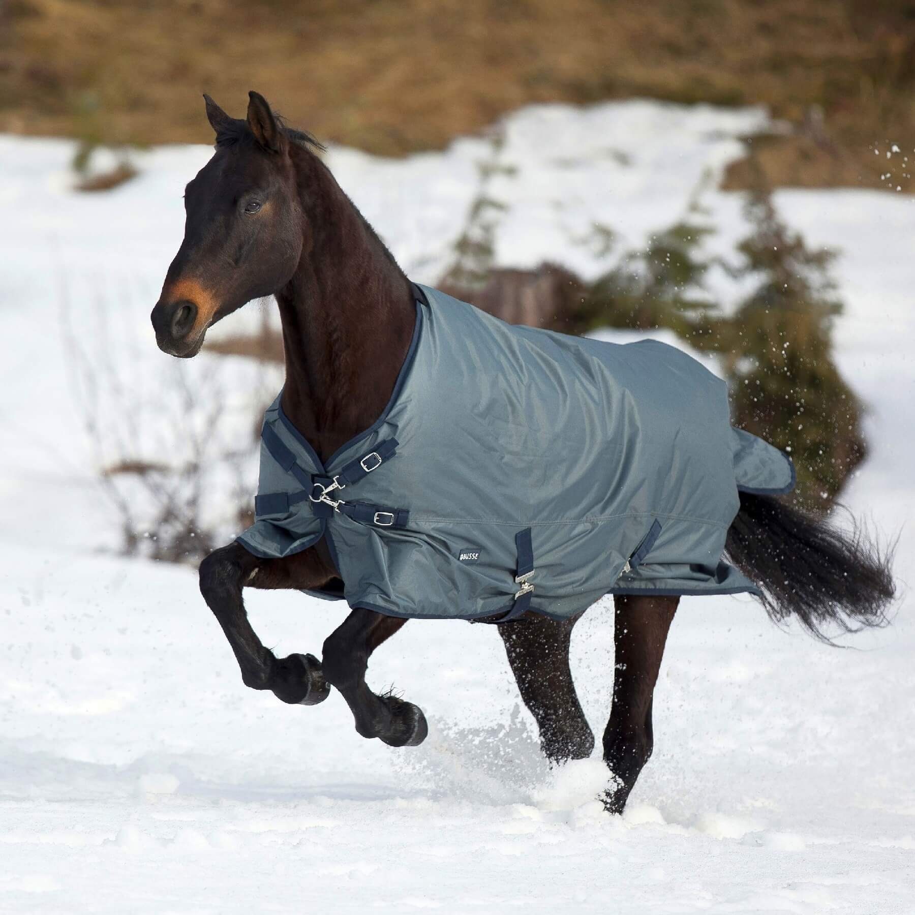 BUSSE Pferde-Thermodecke BUSSE Outdoordecke WINDCHILL 200, mit 200g Wärmeisolierung
